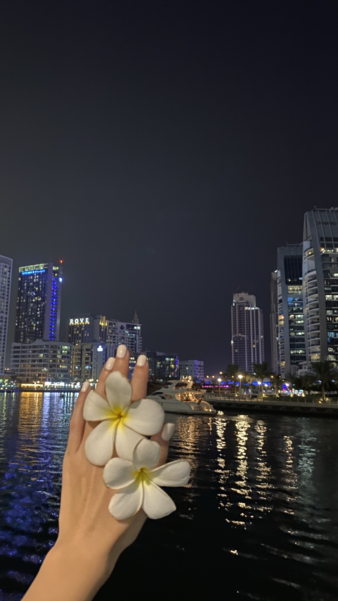 Обои отражение, небоскреб, лепесток, башня, ночь в разрешении 1080x1920