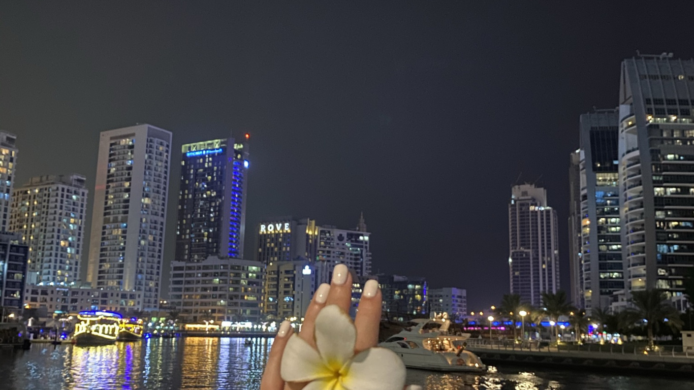 Обои отражение, небоскреб, лепесток, башня, ночь в разрешении 1366x768