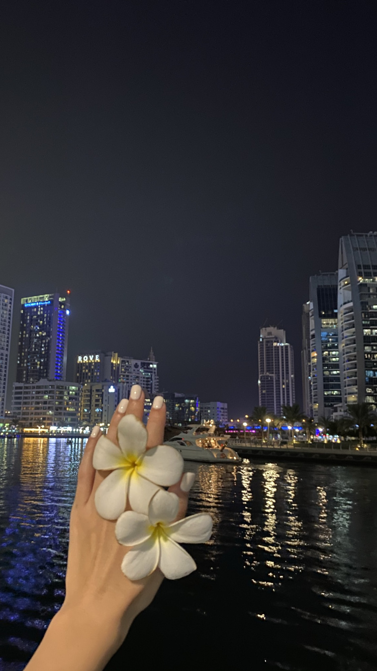 Обои отражение, небоскреб, лепесток, башня, ночь в разрешении 750x1334