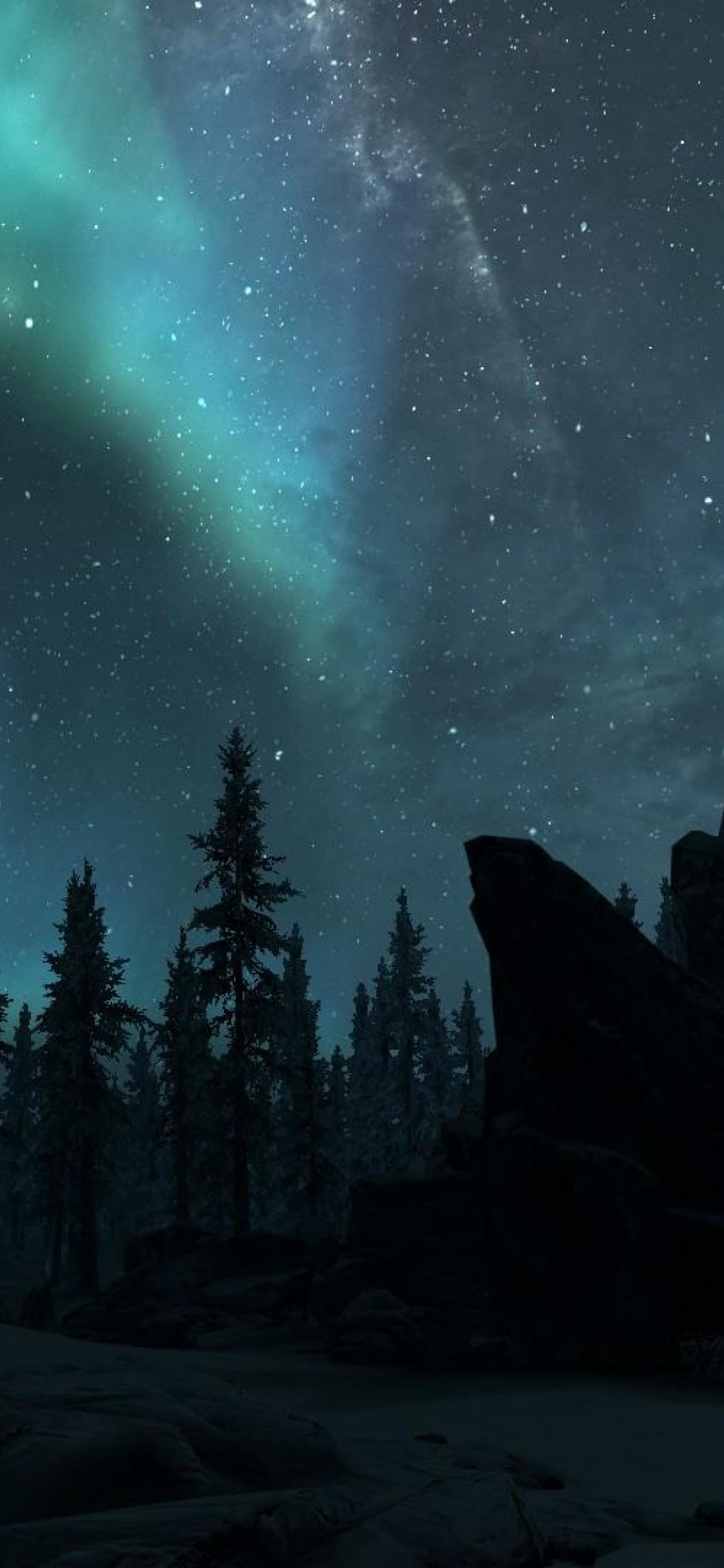 Обои Аврора, природа, дерево, окружающая среда, ночь в разрешении 1242x2688