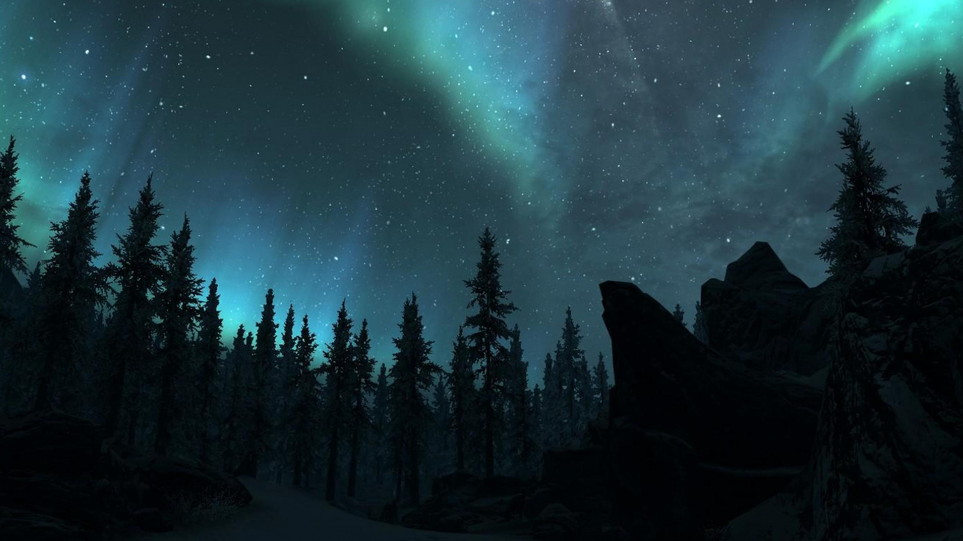 Обои Аврора, природа, дерево, окружающая среда, ночь в разрешении 1366x768