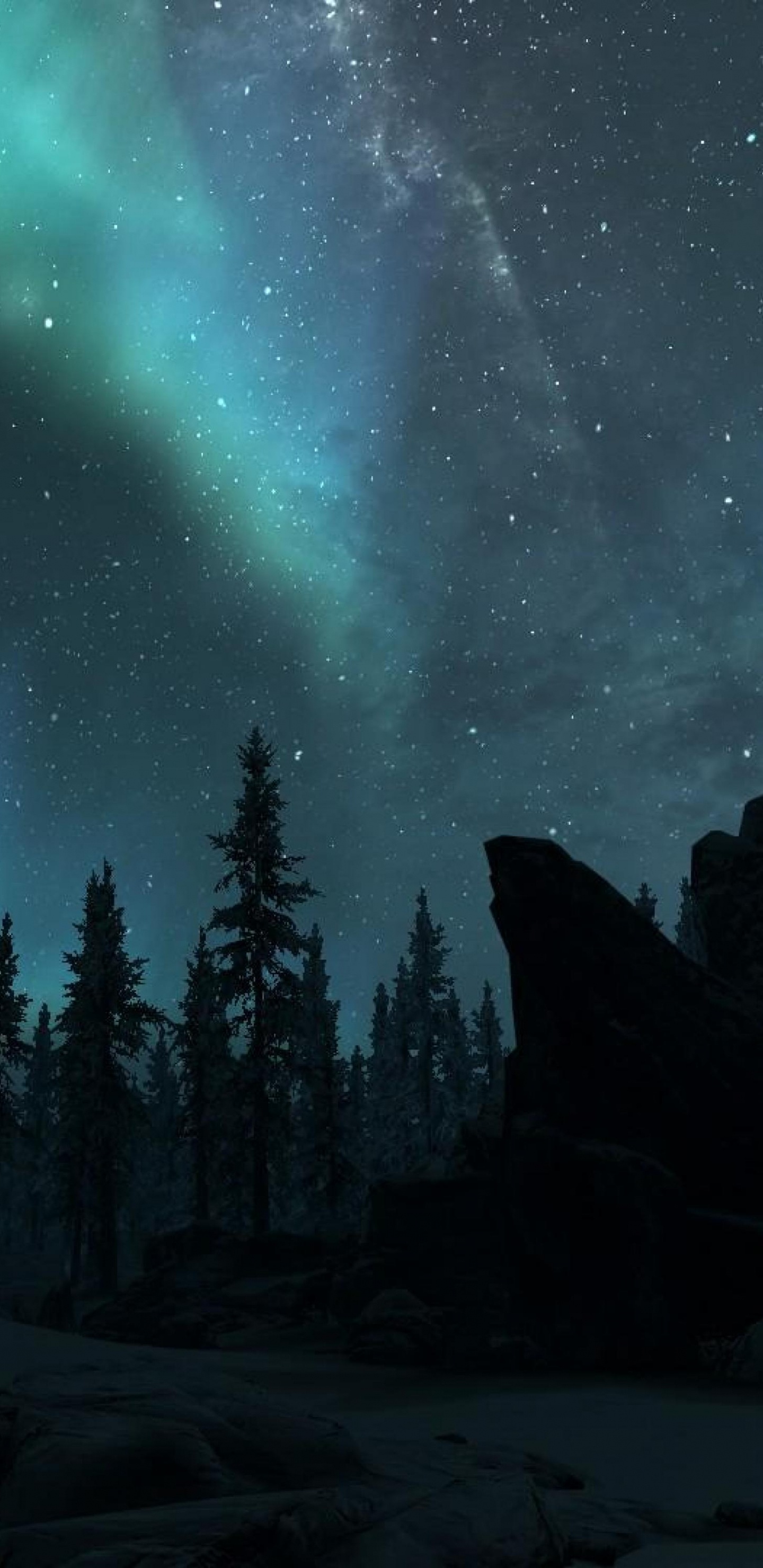 Обои Аврора, природа, дерево, окружающая среда, ночь в разрешении 1440x2960