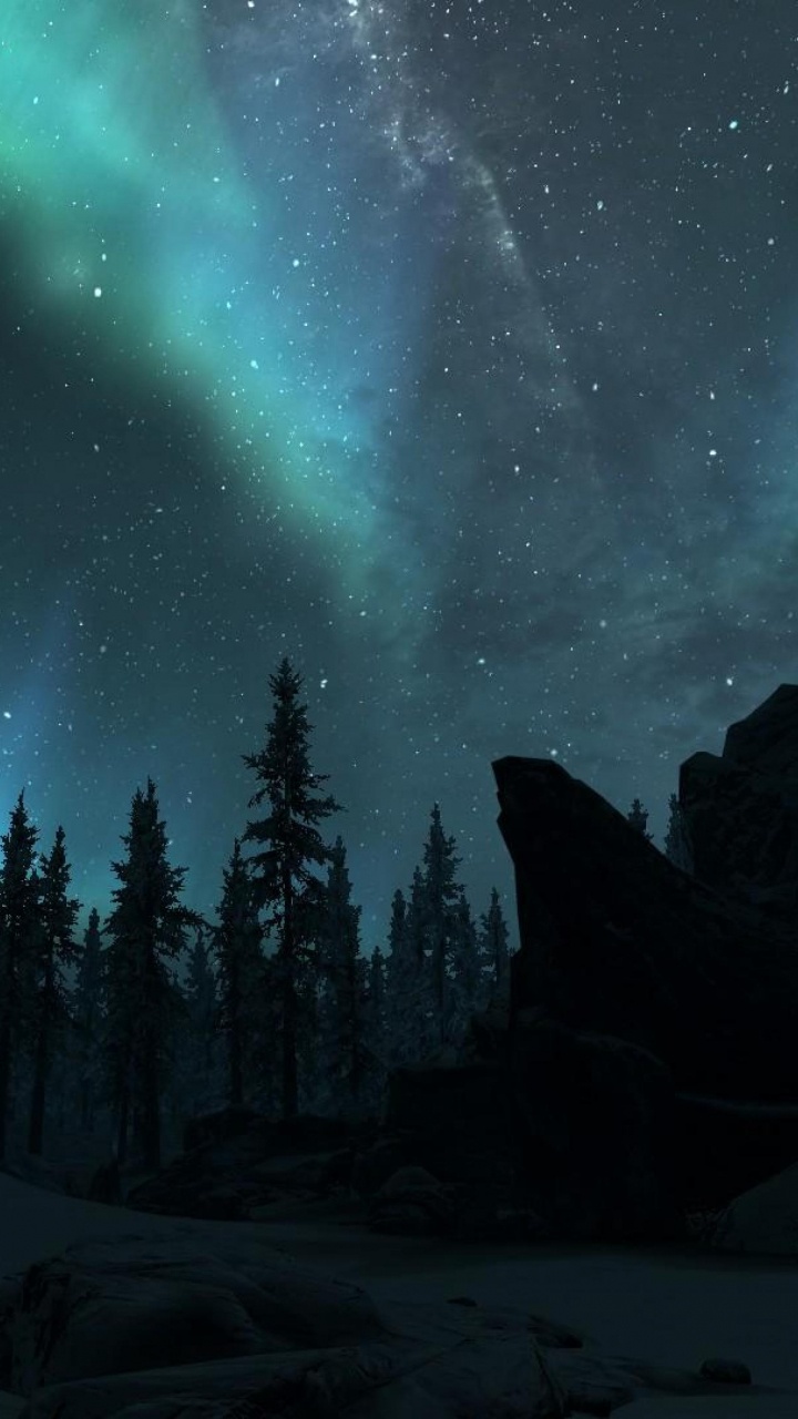 Обои Аврора, природа, дерево, окружающая среда, ночь в разрешении 720x1280