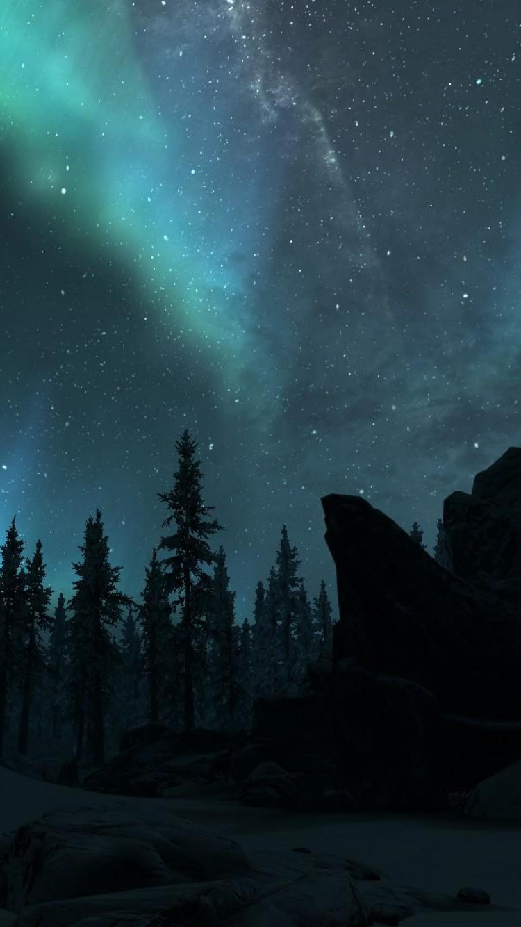 Обои Аврора, природа, дерево, окружающая среда, ночь в разрешении 750x1334