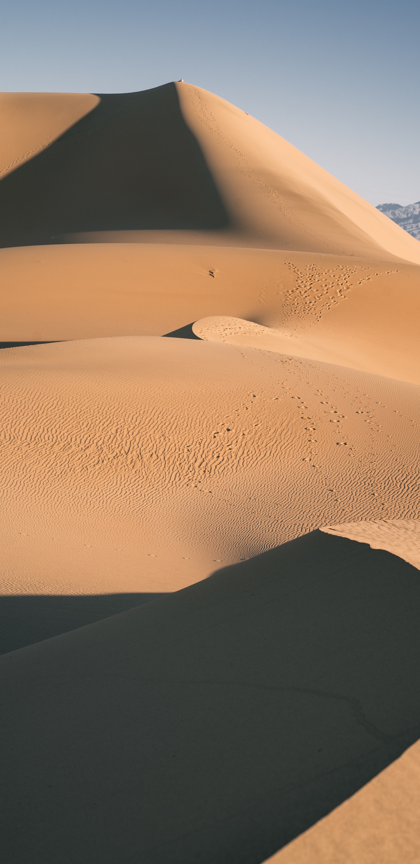 Обои Дюна, почва, окружающая среда, эрг, геология в разрешении 1440x2960