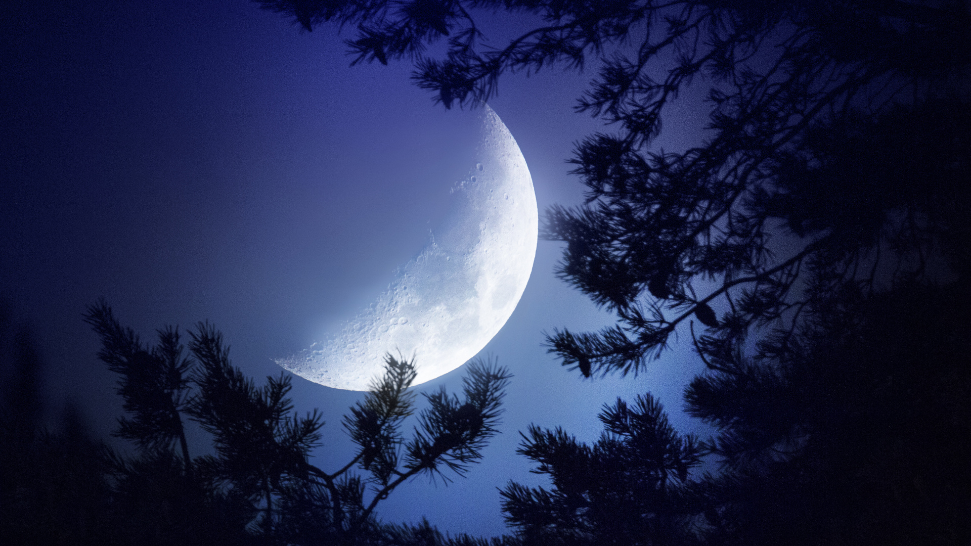 Обои луна, природа, лунный свет, атмосфера, астрономический объект в разрешении 1920x1080