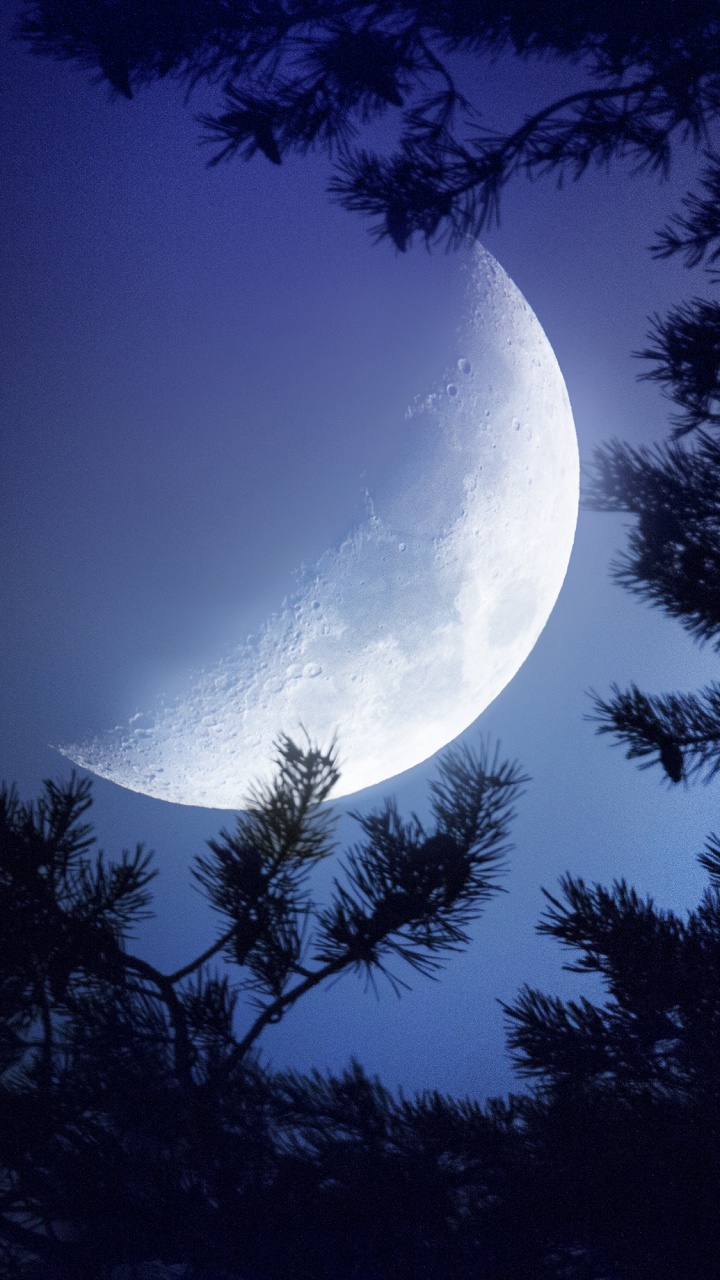 Обои луна, природа, лунный свет, атмосфера, астрономический объект в разрешении 720x1280