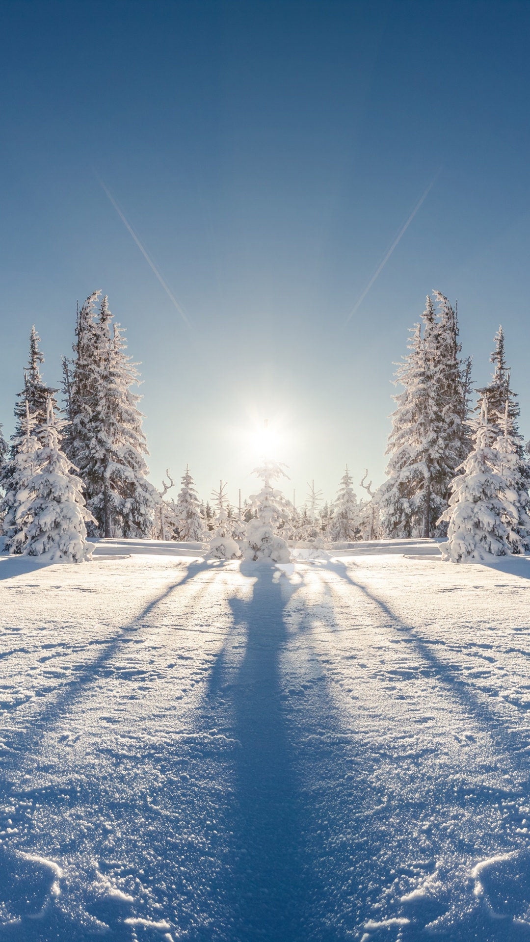 Обои зима, снег, дерево, природа, замораживание в разрешении 1080x1920