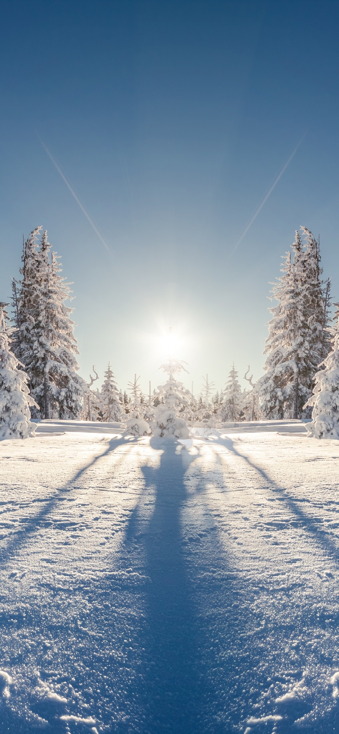 Обои зима, снег, дерево, природа, замораживание в разрешении 1125x2436