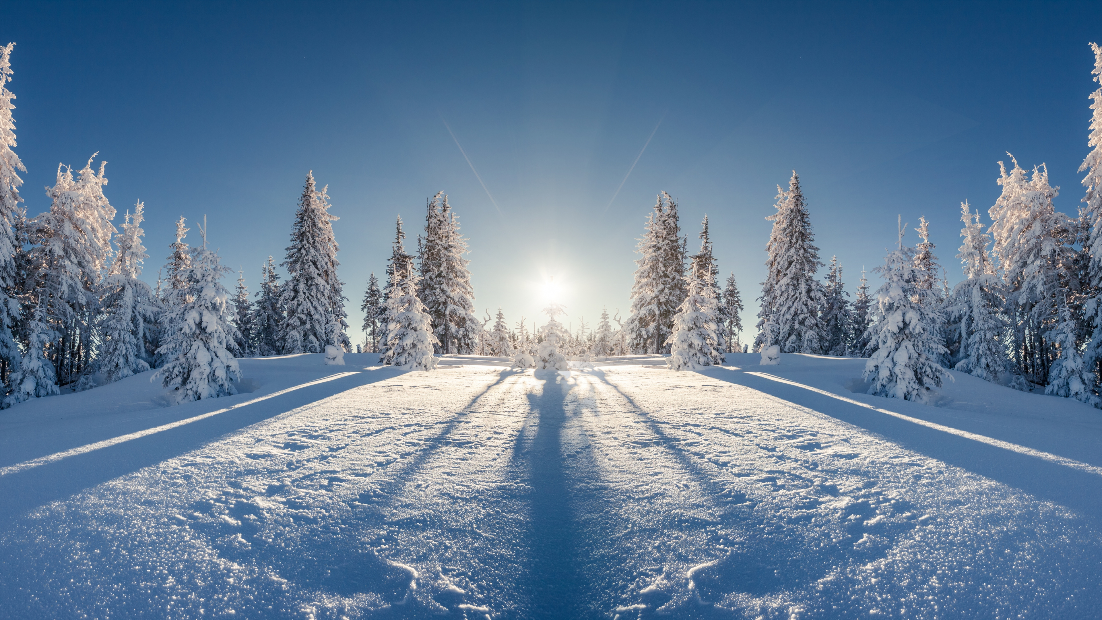 Обои зима, снег, дерево, природа, замораживание в разрешении 3840x2160