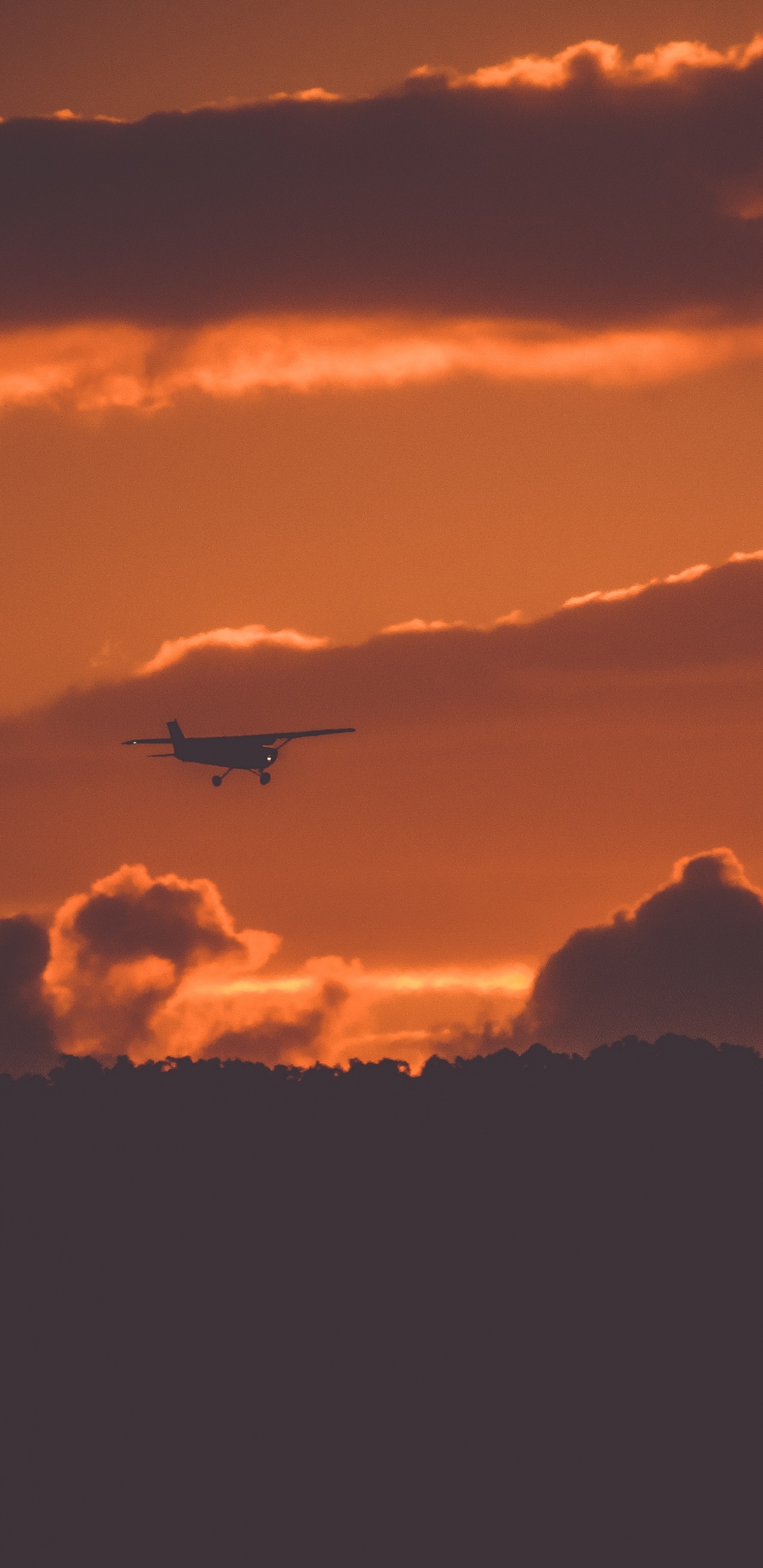 Обои самолет, полет, послесвечение, облако, закат в разрешении 1440x2960