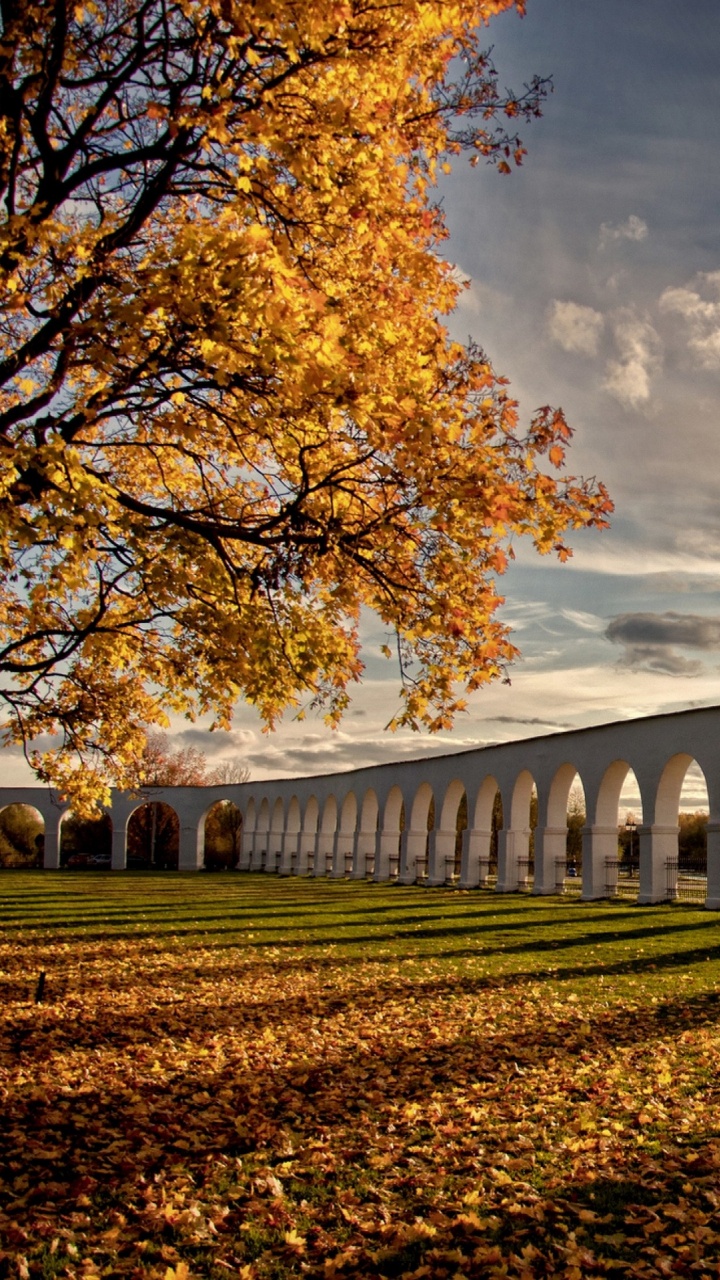 Обои мост, лист, виадук, дерево, осень в разрешении 720x1280