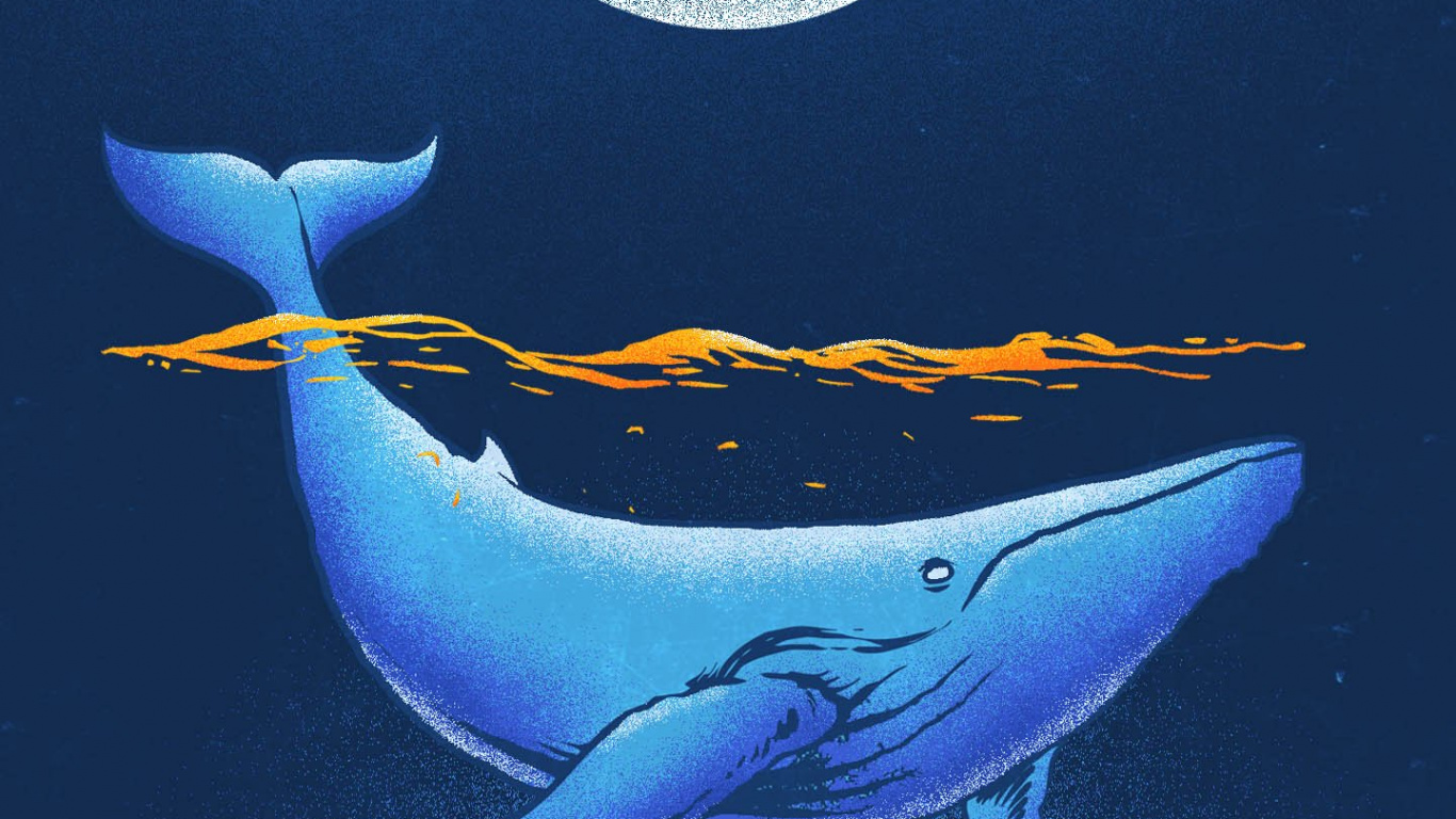 Обои морская биология, Кит, синий Кит, вода, жидкий в разрешении 1366x768