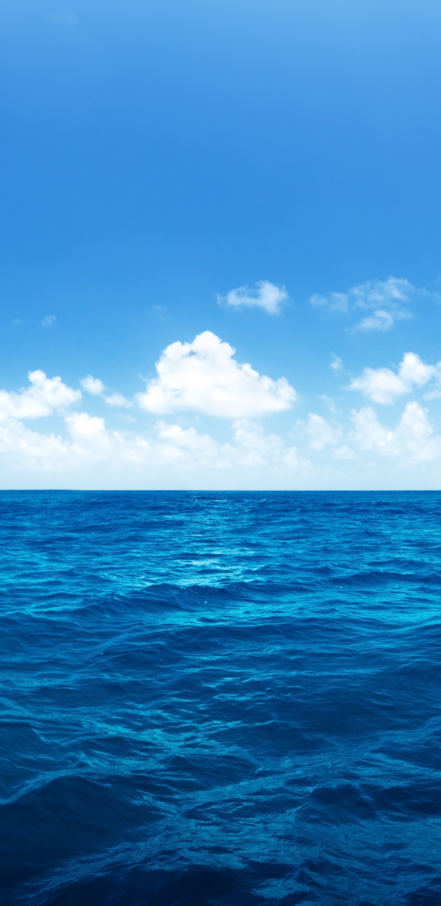 Обои океан, море, вода, синий, горизонт в разрешении 1440x2960