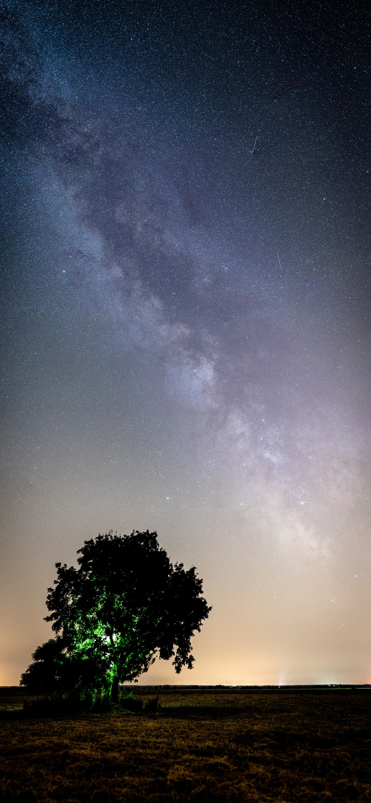 Обои облако, природа, атмосфера, дерево, ночь в разрешении 1242x2688