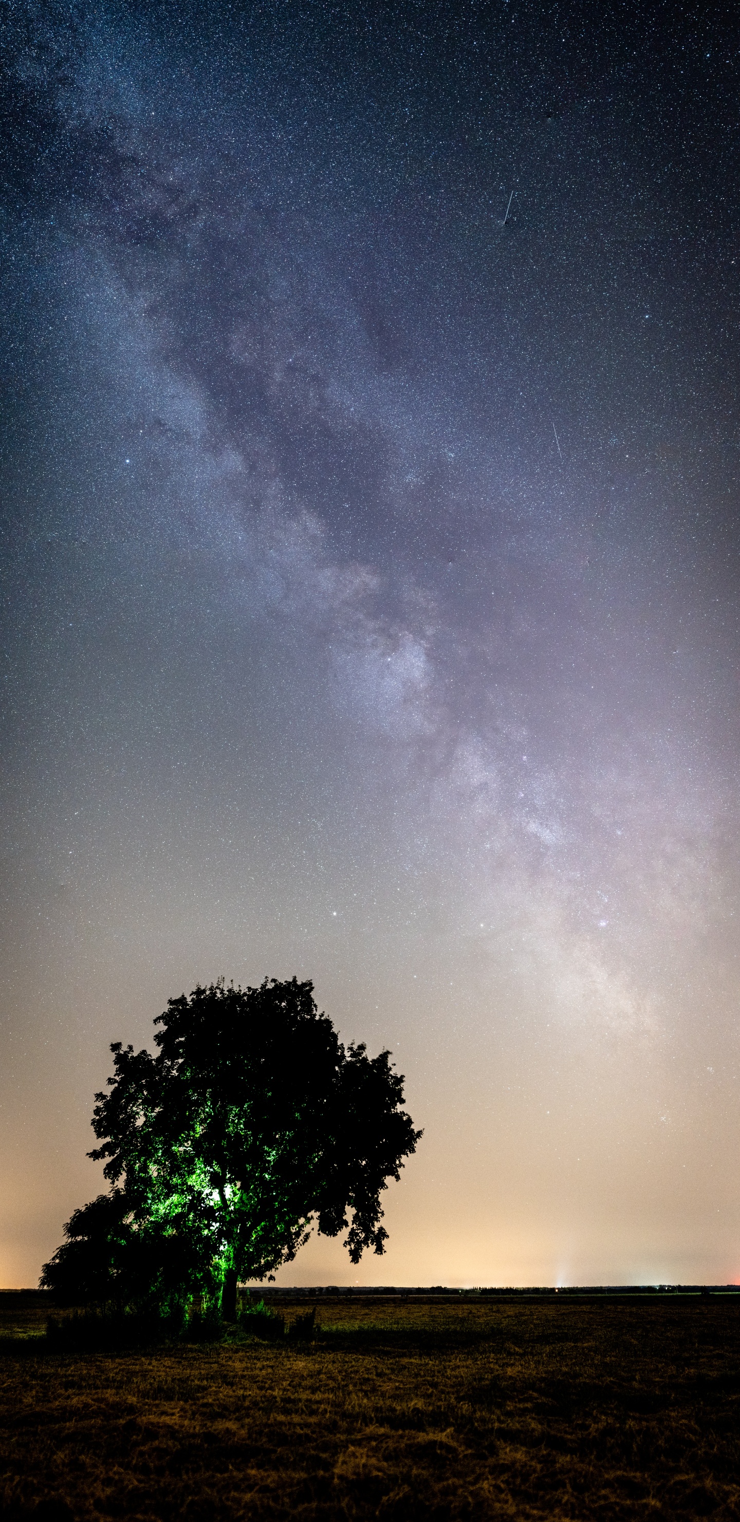 Обои облако, природа, атмосфера, дерево, ночь в разрешении 1440x2960