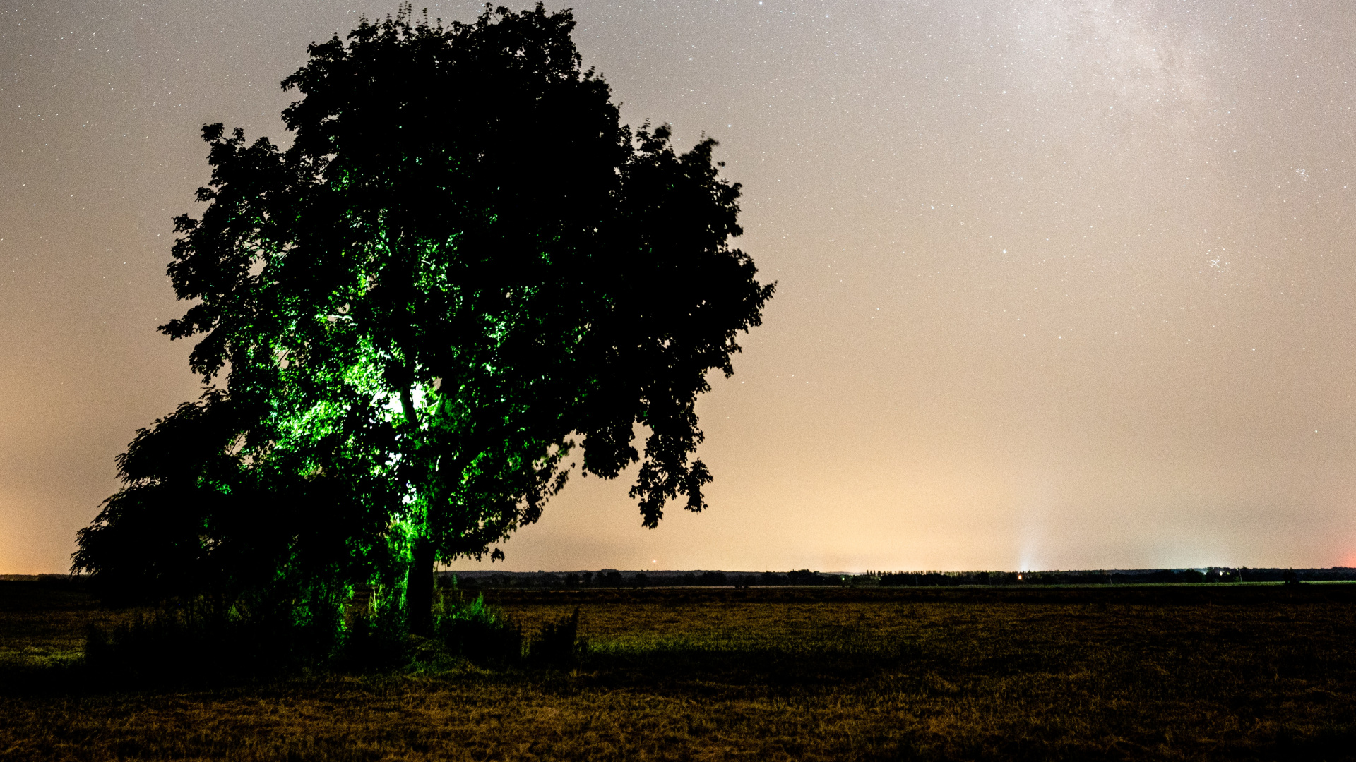 Обои облако, природа, атмосфера, дерево, ночь в разрешении 1920x1080