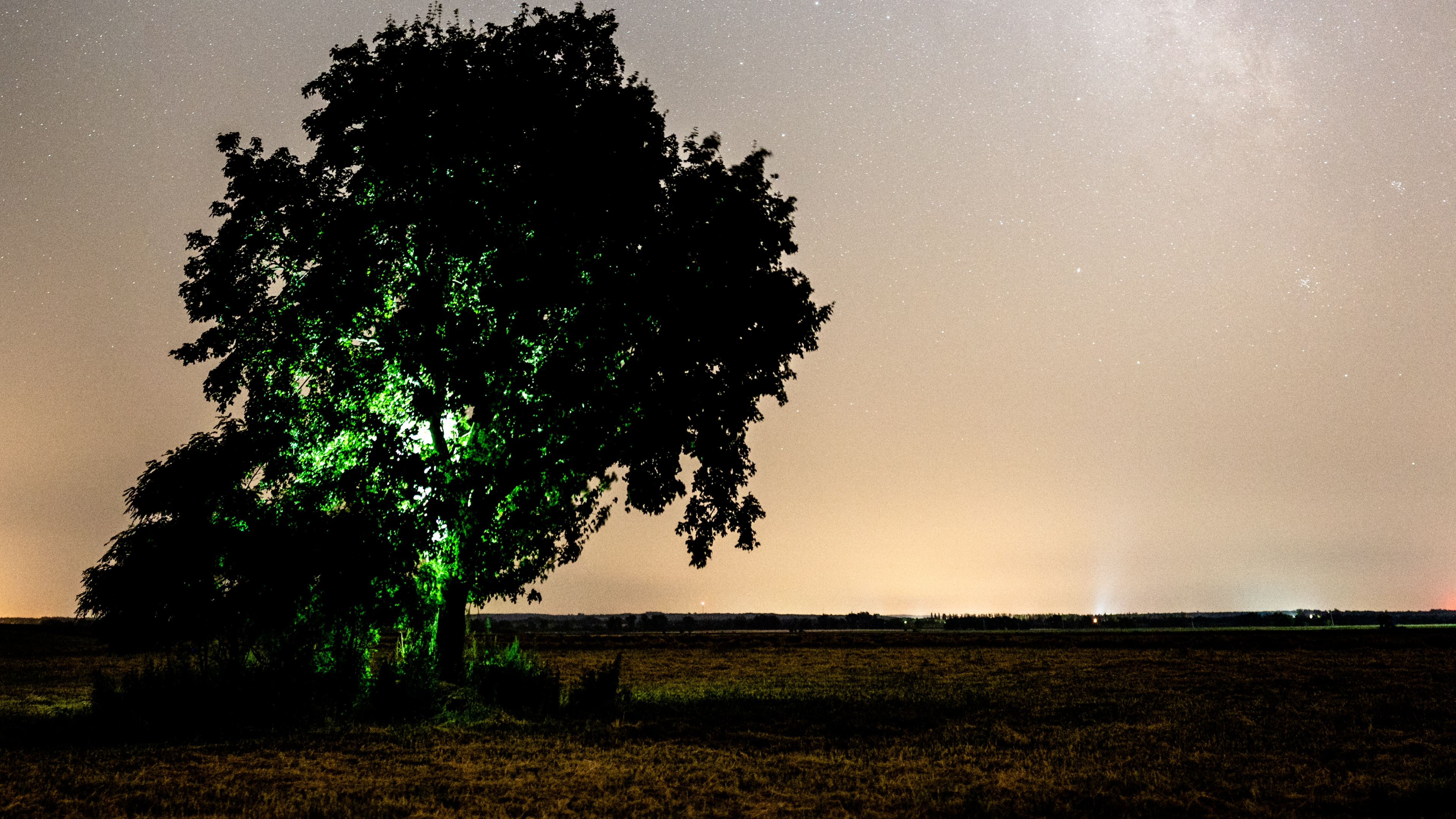 Обои облако, природа, атмосфера, дерево, ночь в разрешении 3840x2160