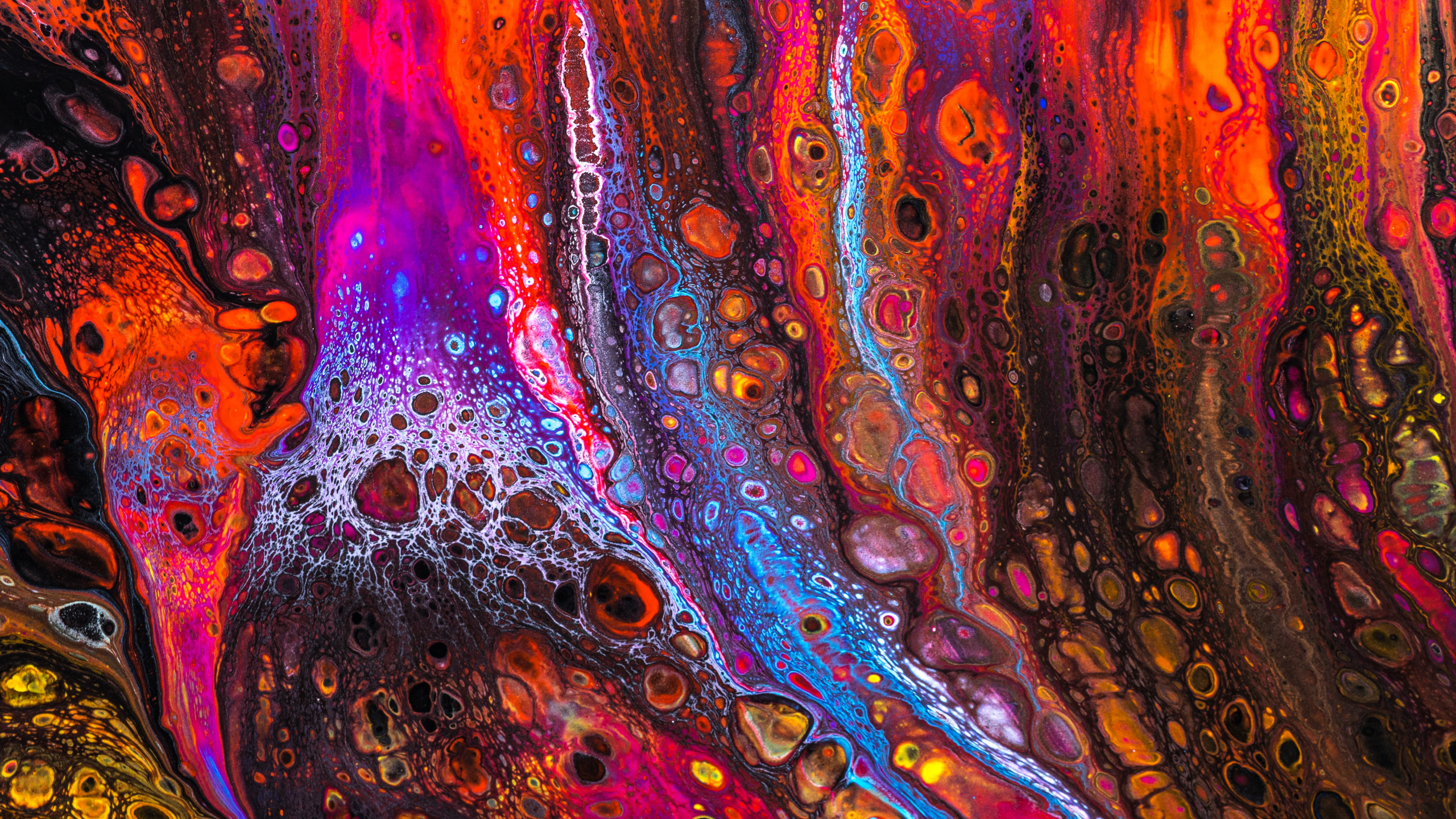 Обои психоделическое искусство, красочность, пурпур, арт, пурпурный цвет в разрешении 2560x1440