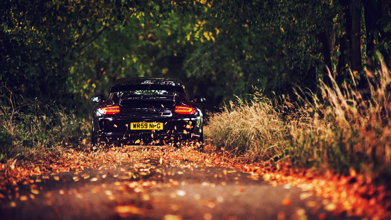 Обои porsche 911 gt3, авто, Порше, чемпионат мира по ралли, дикая местность в разрешении 1366x768