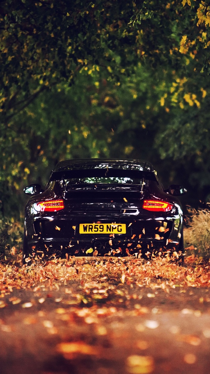 Обои porsche 911 gt3, авто, Порше, чемпионат мира по ралли, дикая местность в разрешении 720x1280