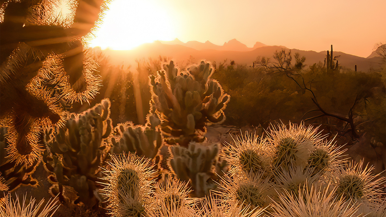Обои государственная сетевая корпорация Китая, облако, атмосфера, растение, растительное сообщество в разрешении 1280x720
