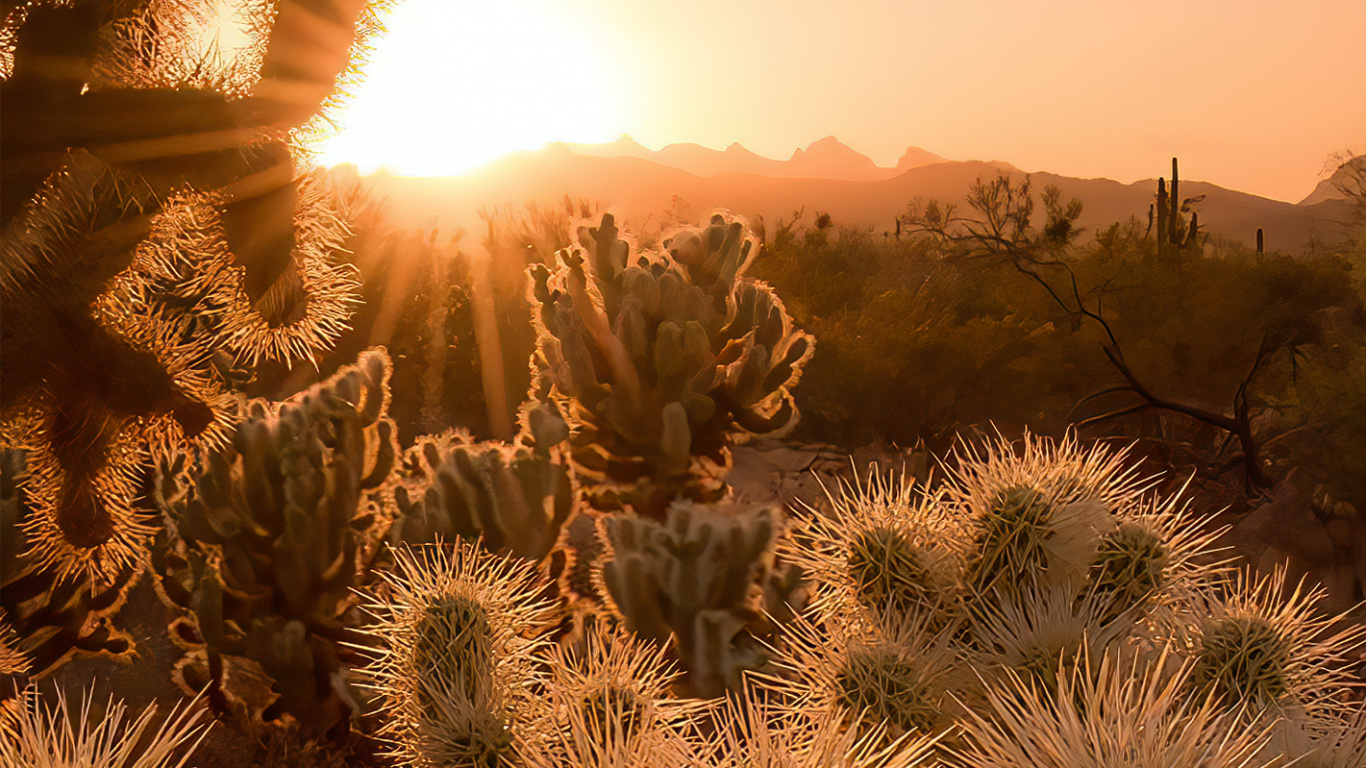 Обои государственная сетевая корпорация Китая, облако, атмосфера, растение, растительное сообщество в разрешении 1366x768