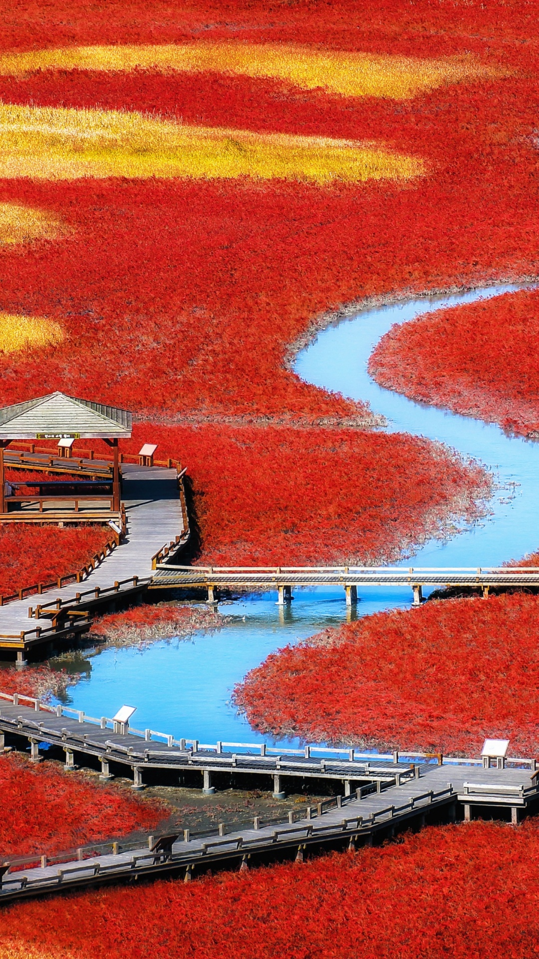 Обои Google Pixel, пиксель, хромбук, Пиксель 2, красный цвет в разрешении 1080x1920