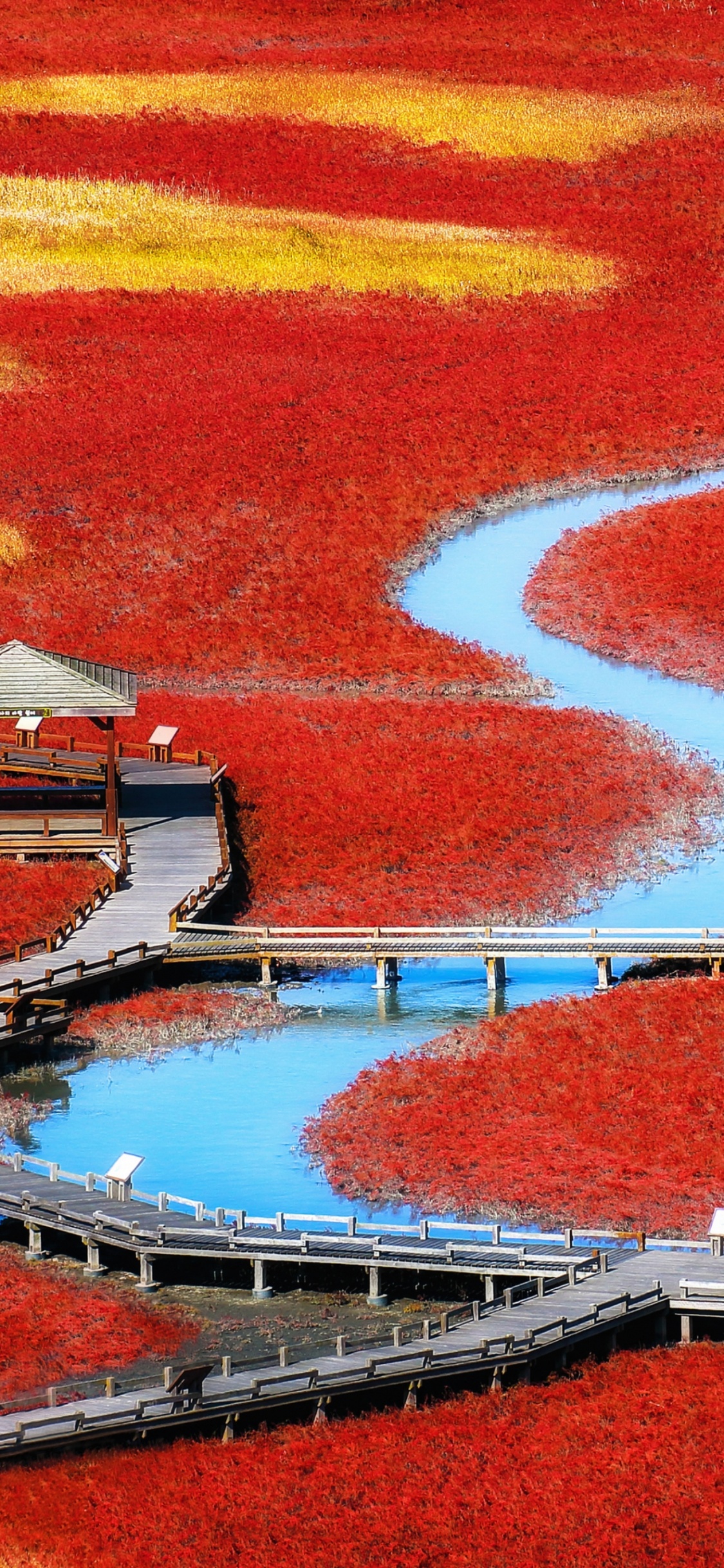 Обои Google Pixel, пиксель, хромбук, Пиксель 2, красный цвет в разрешении 1125x2436