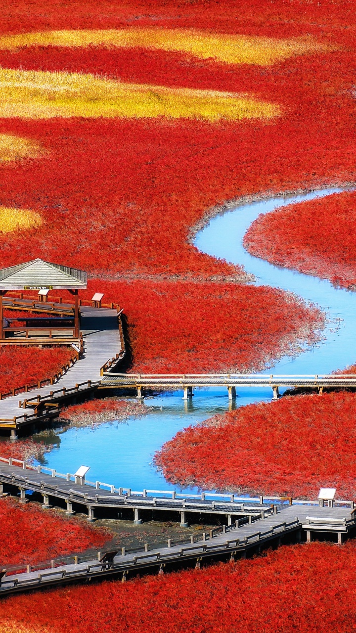 Обои Google Pixel, пиксель, хромбук, Пиксель 2, красный цвет в разрешении 720x1280