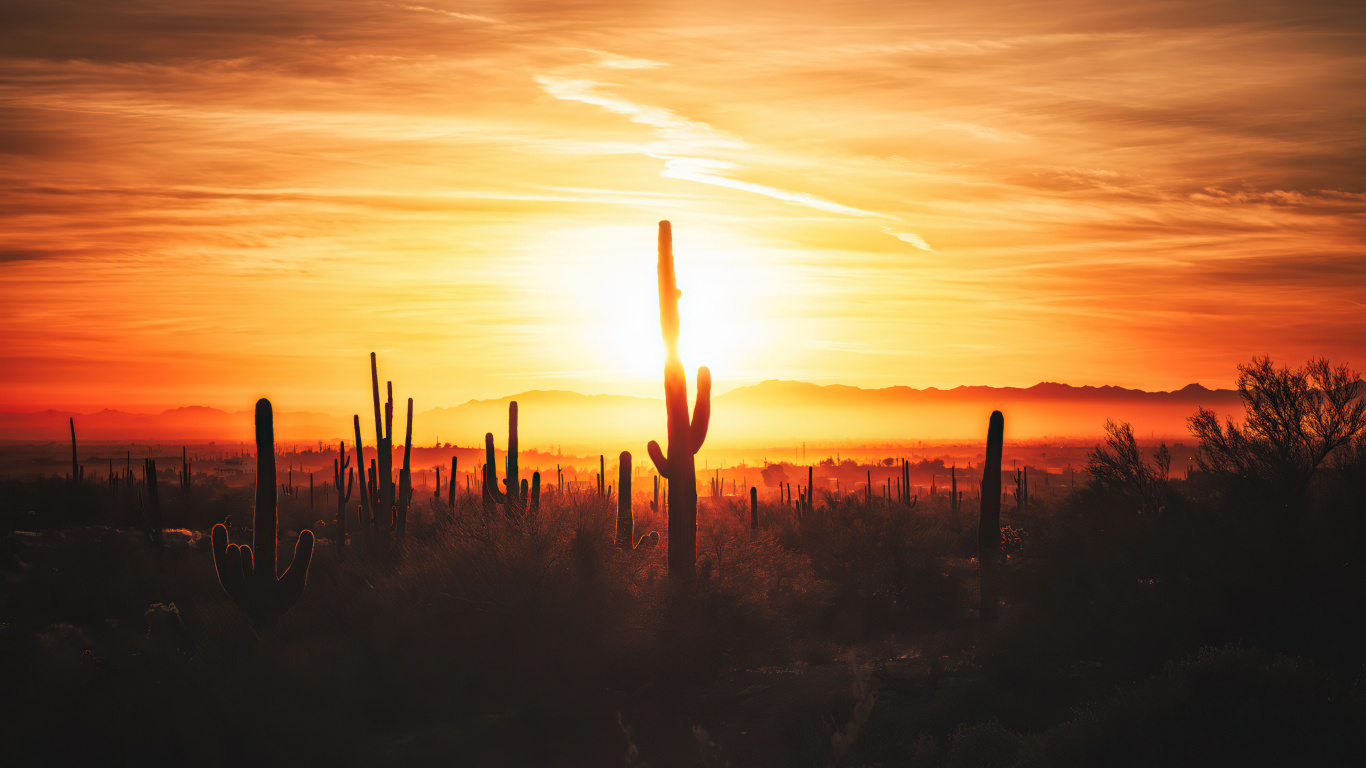Обои Иссам Альнаджар, речь ахбек, облако, атмосфера, растение в разрешении 1366x768