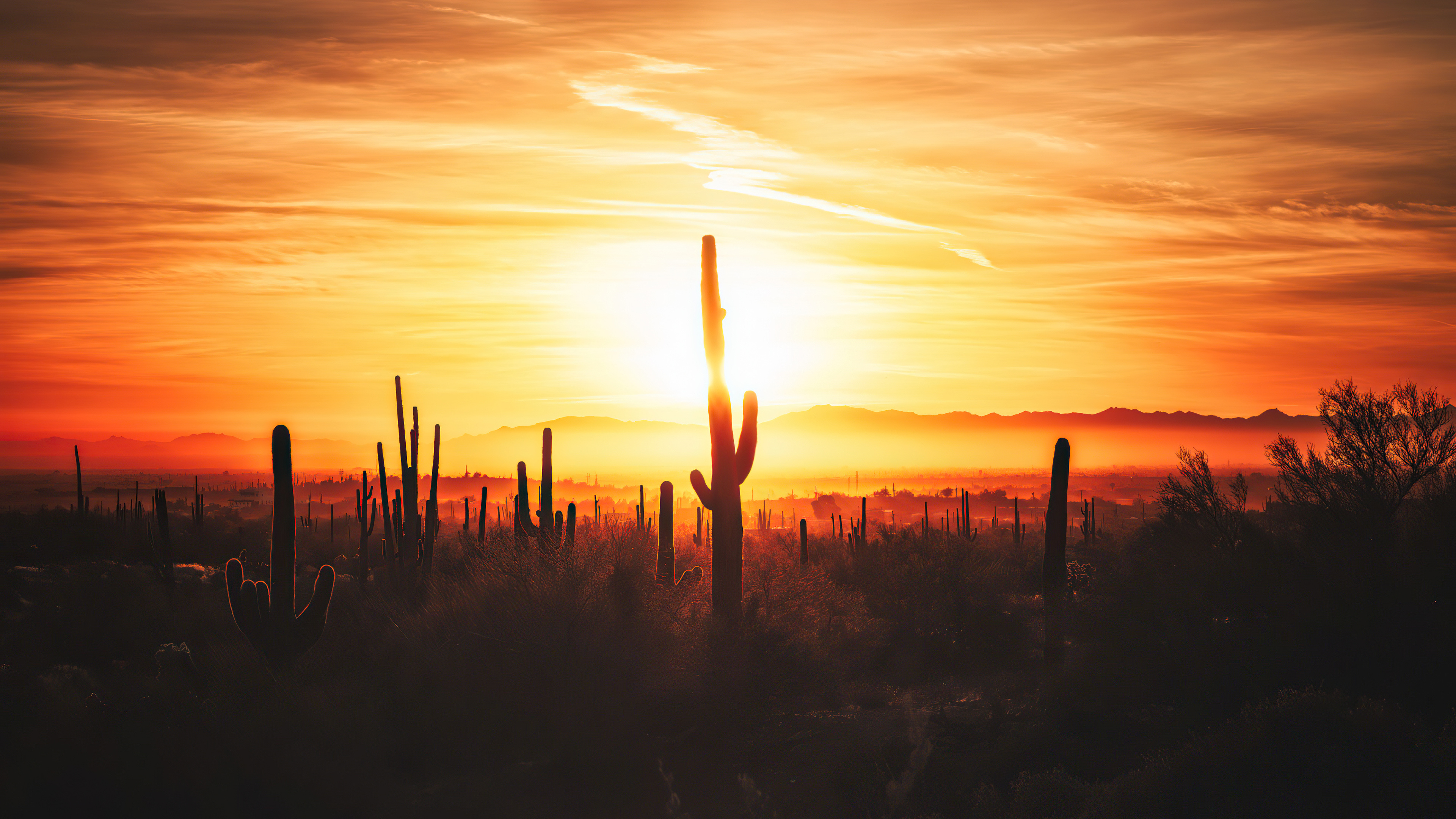 Обои Иссам Альнаджар, речь ахбек, облако, атмосфера, растение в разрешении 3840x2160