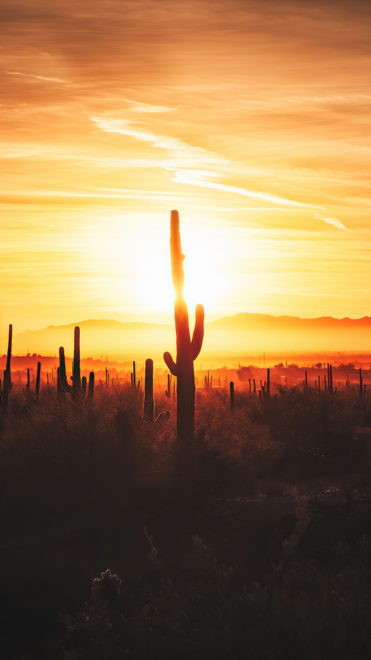 Обои Иссам Альнаджар, речь ахбек, облако, атмосфера, растение в разрешении 750x1334