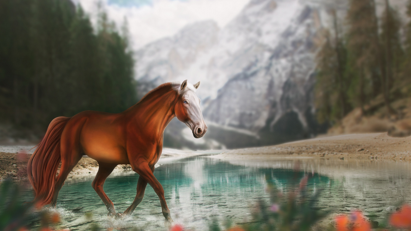 Обои конь, вода, растение, природа, цветок в разрешении 1366x768