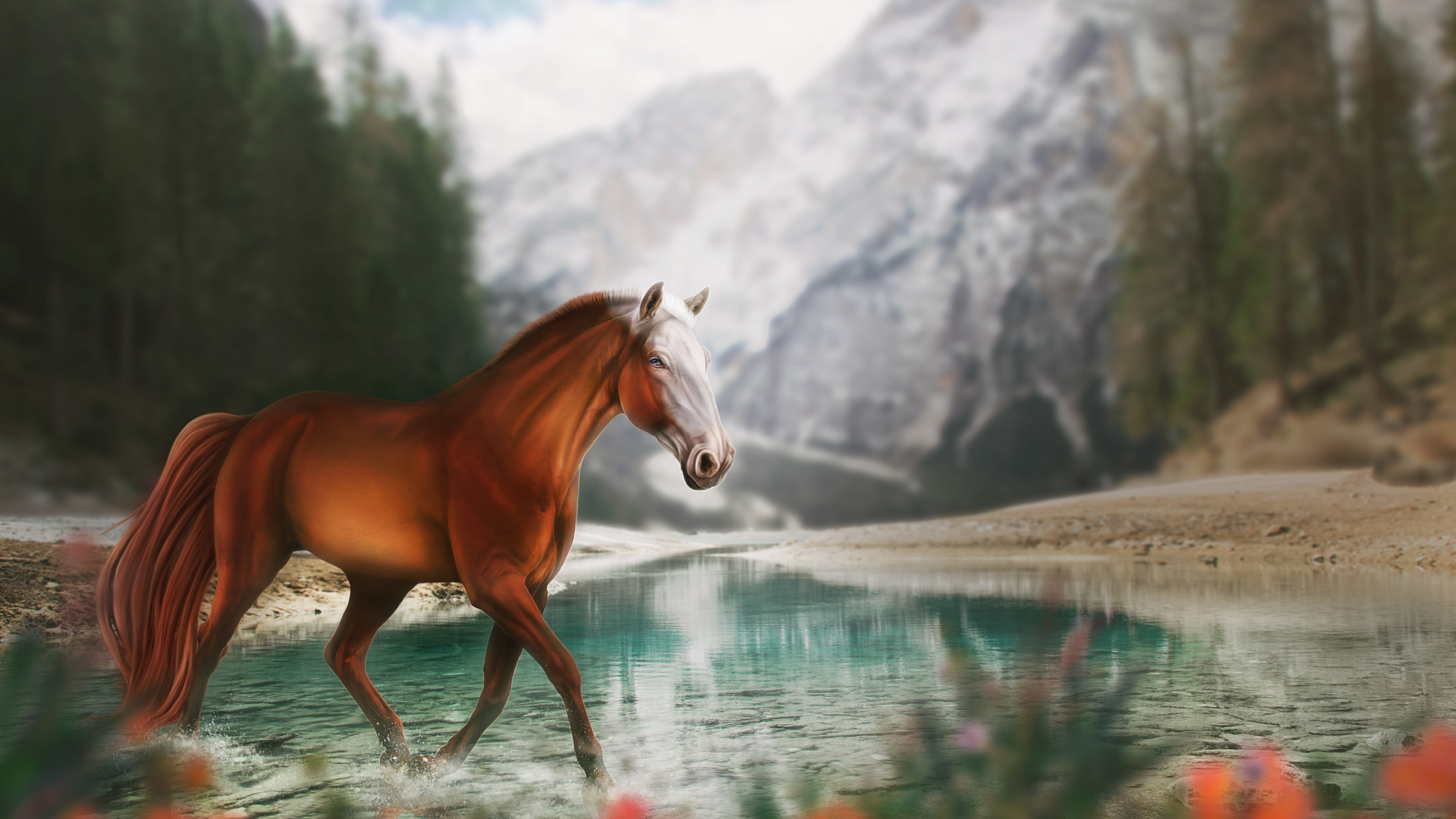 Обои конь, вода, растение, природа, цветок в разрешении 2560x1440