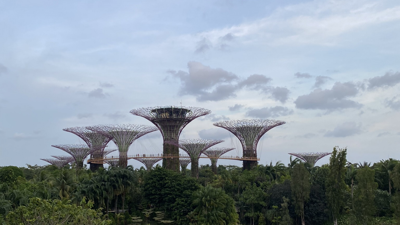Обои Сингапур, Марина Сити Парк, водоем, природа, растительность в разрешении 1280x720