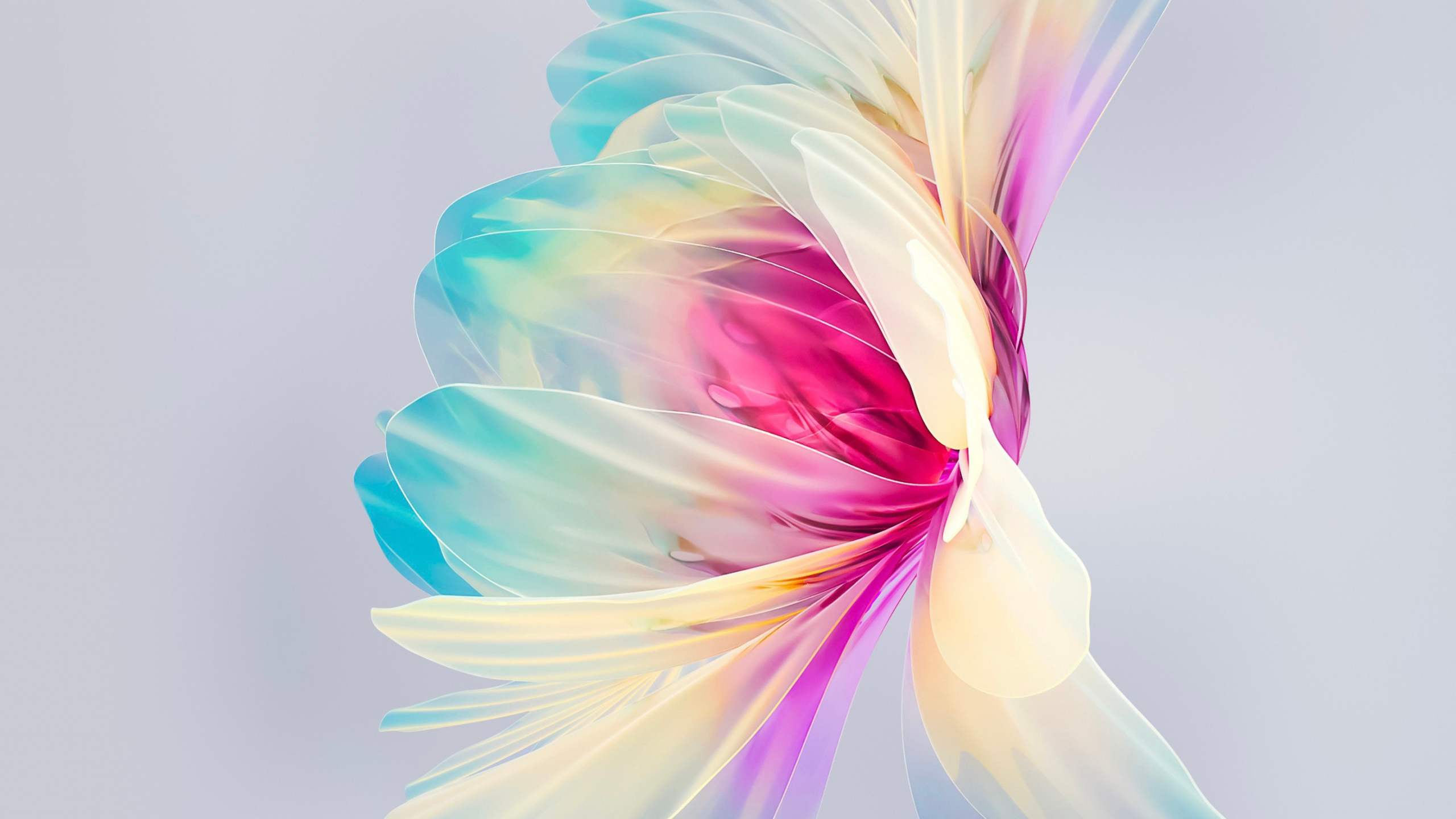 Обои huawei p50 карман, huawei p50, Huawei, смартфон, хуавей приятель х2 в разрешении 2560x1440