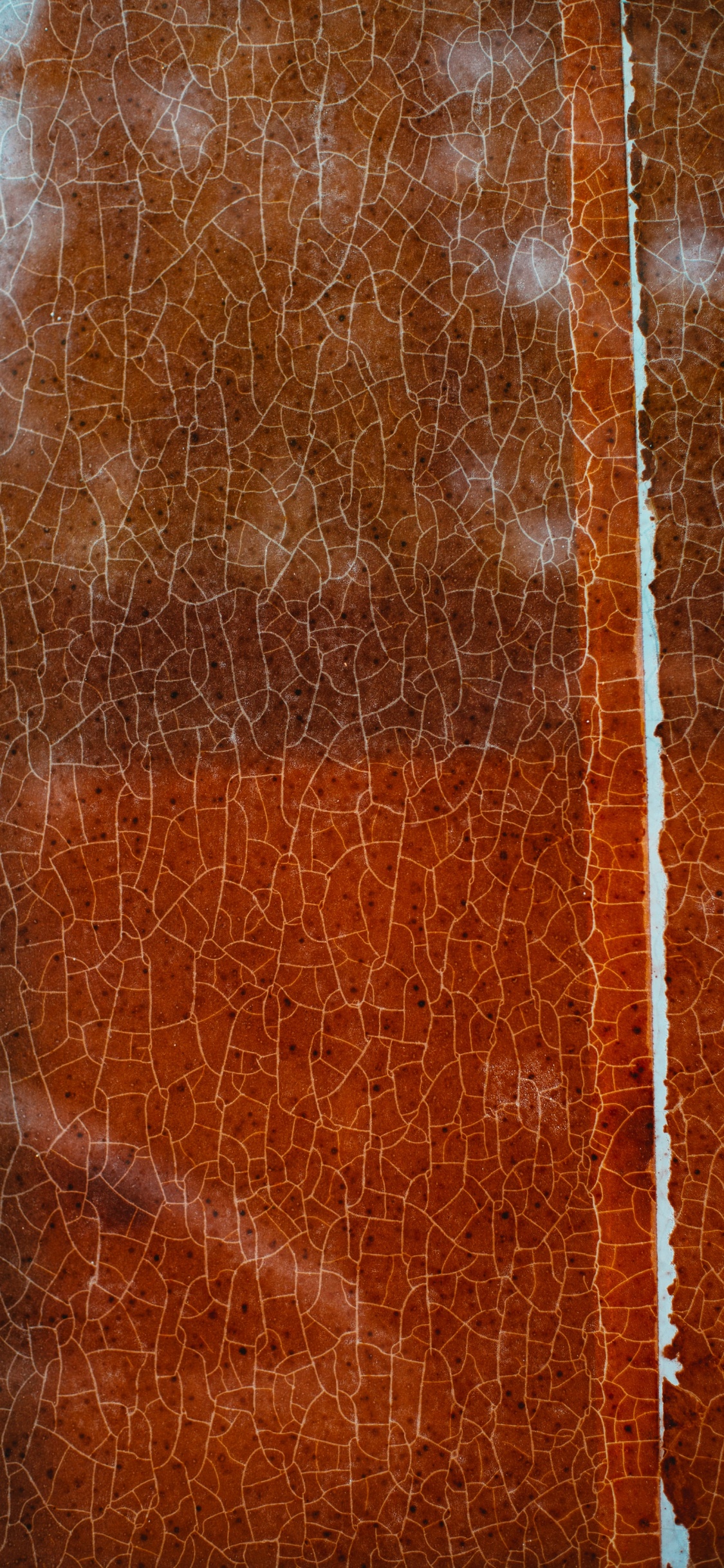 Обои дизайн, текстура, Апельсин, коричневый цвет, древесина в разрешении 1125x2436