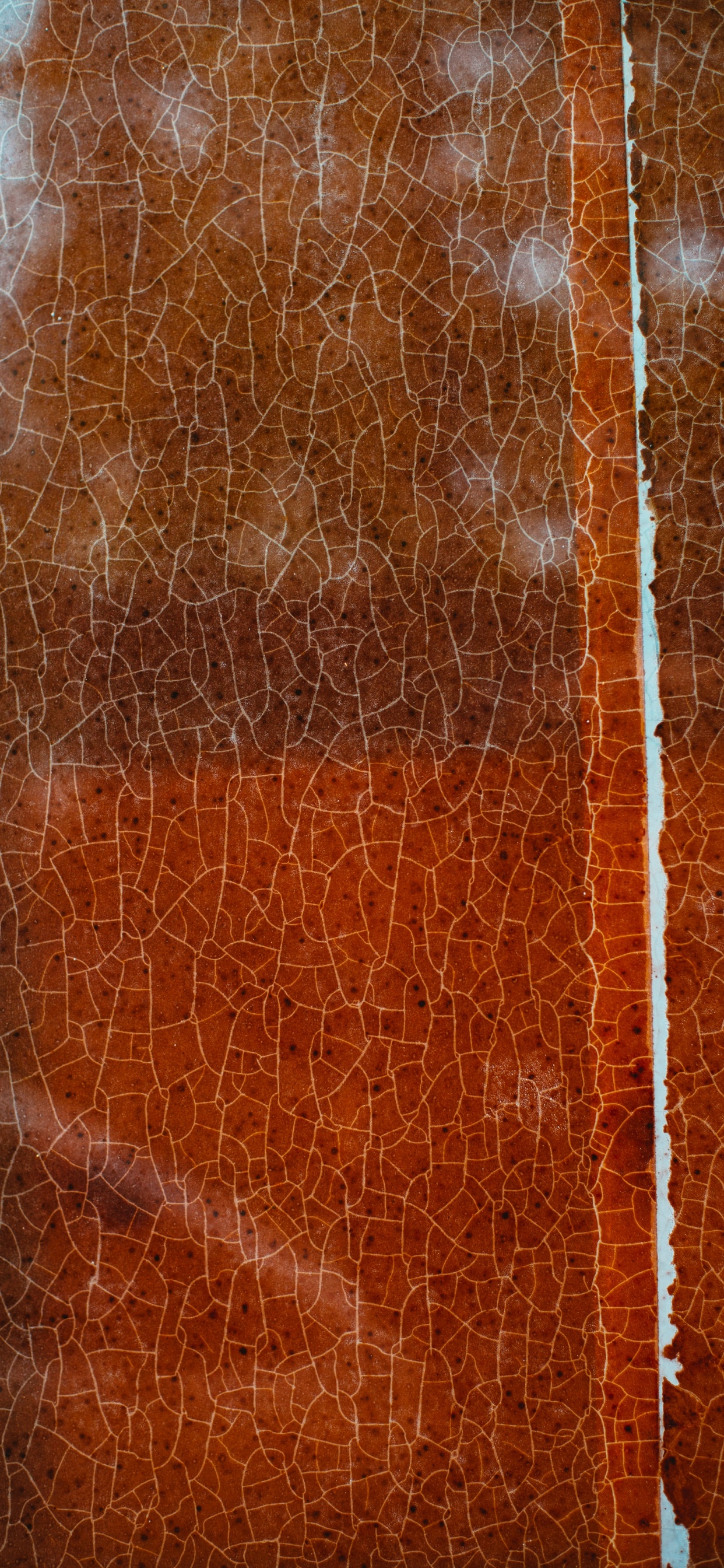 Обои дизайн, текстура, Апельсин, коричневый цвет, древесина в разрешении 1242x2688