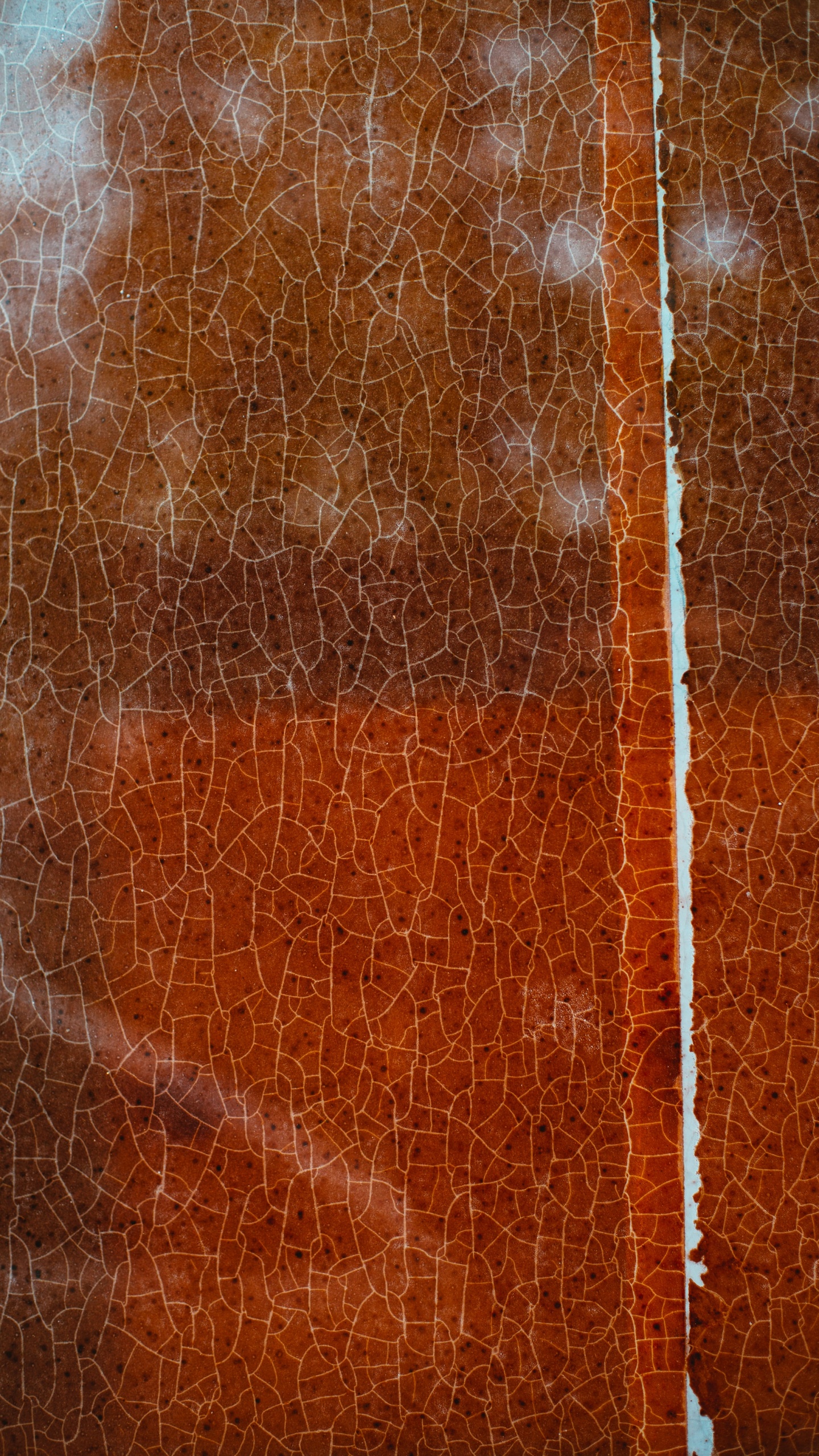 Обои дизайн, текстура, Апельсин, коричневый цвет, древесина в разрешении 1440x2560