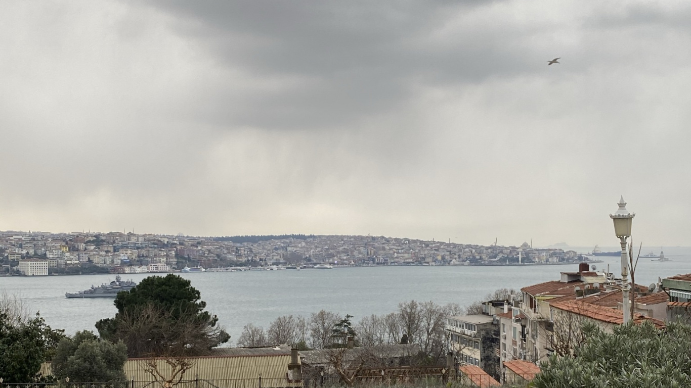 Обои облако, вода, растение, дерево, здание в разрешении 1366x768