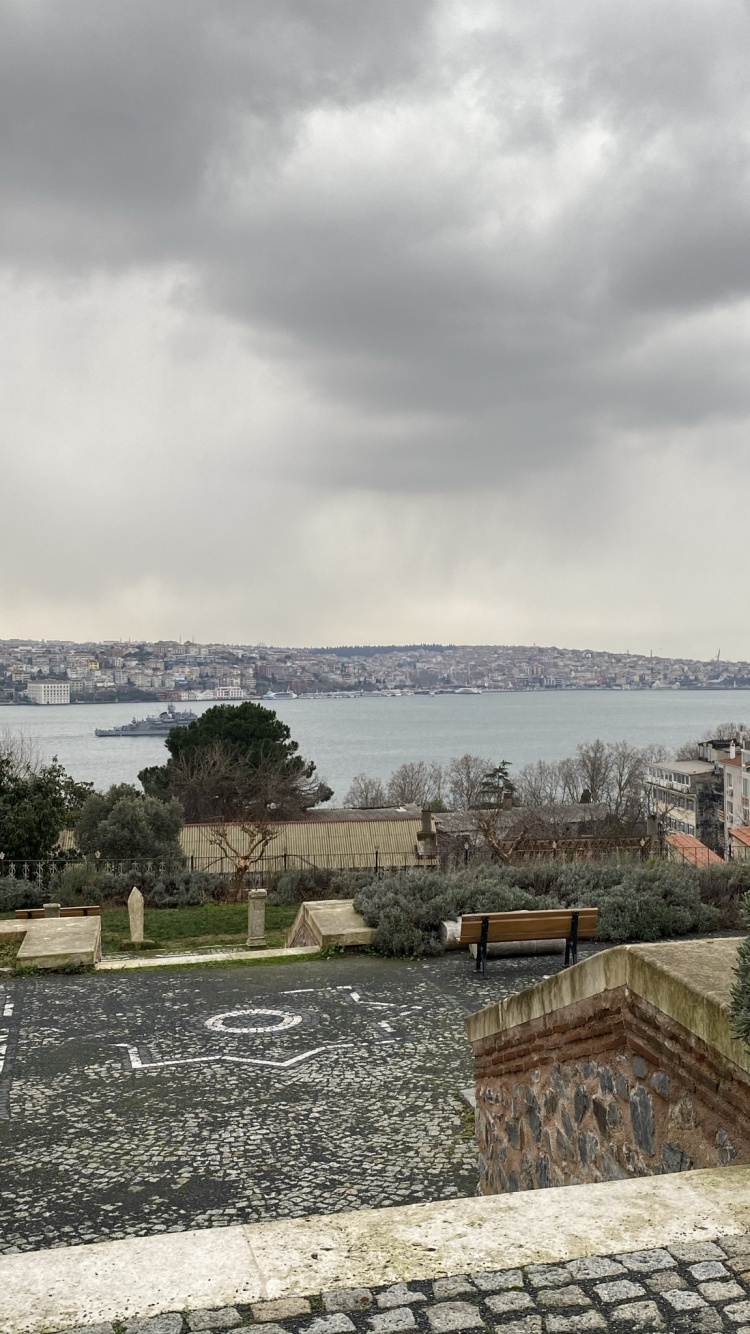 Обои облако, вода, растение, дерево, здание в разрешении 750x1334