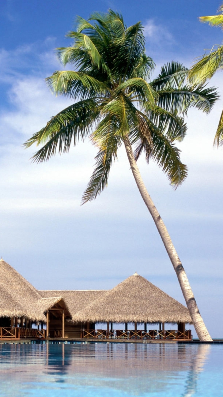Обои пляж, дом на пляже, тропическая зона, Пальма, отпуск в разрешении 750x1334