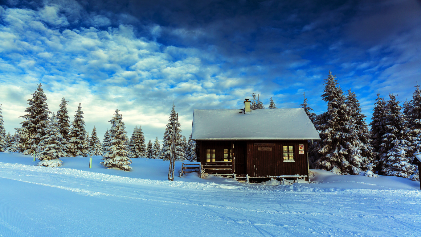 Обои зима, снег, синий, дерево, замораживание в разрешении 1366x768