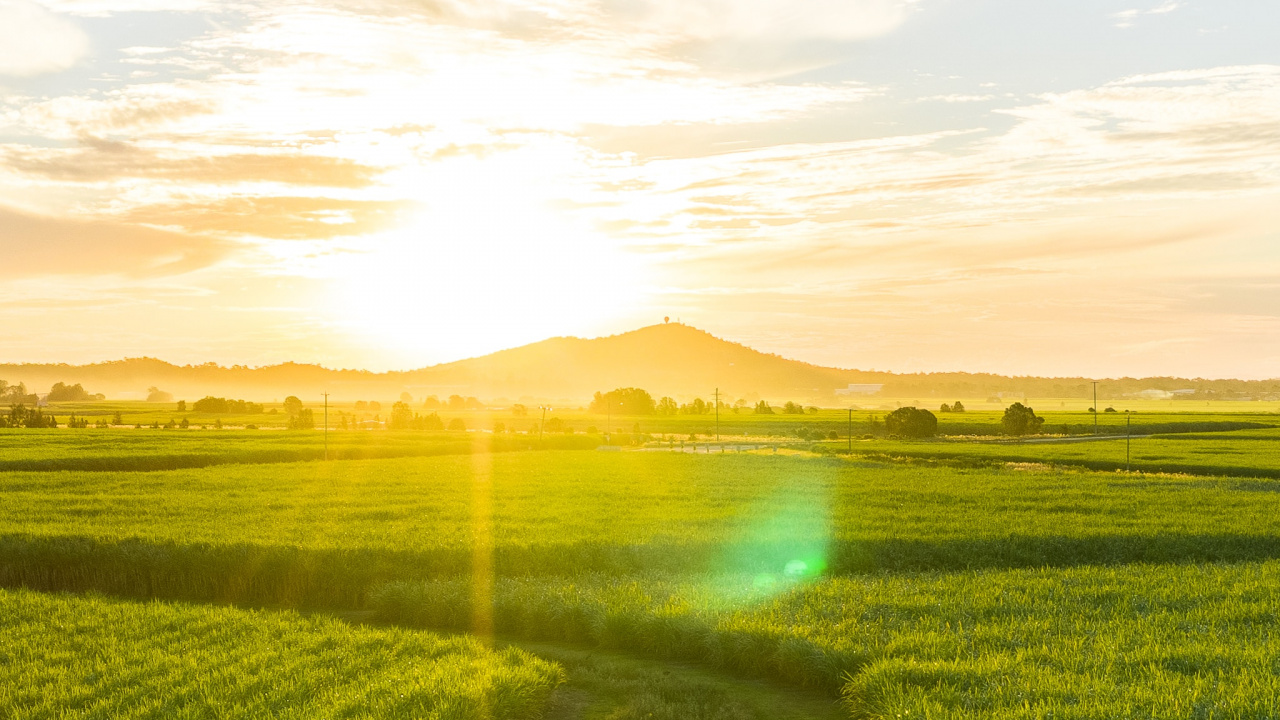 Обои природный ландшафт, природа, поле, зеленый, утро в разрешении 1280x720