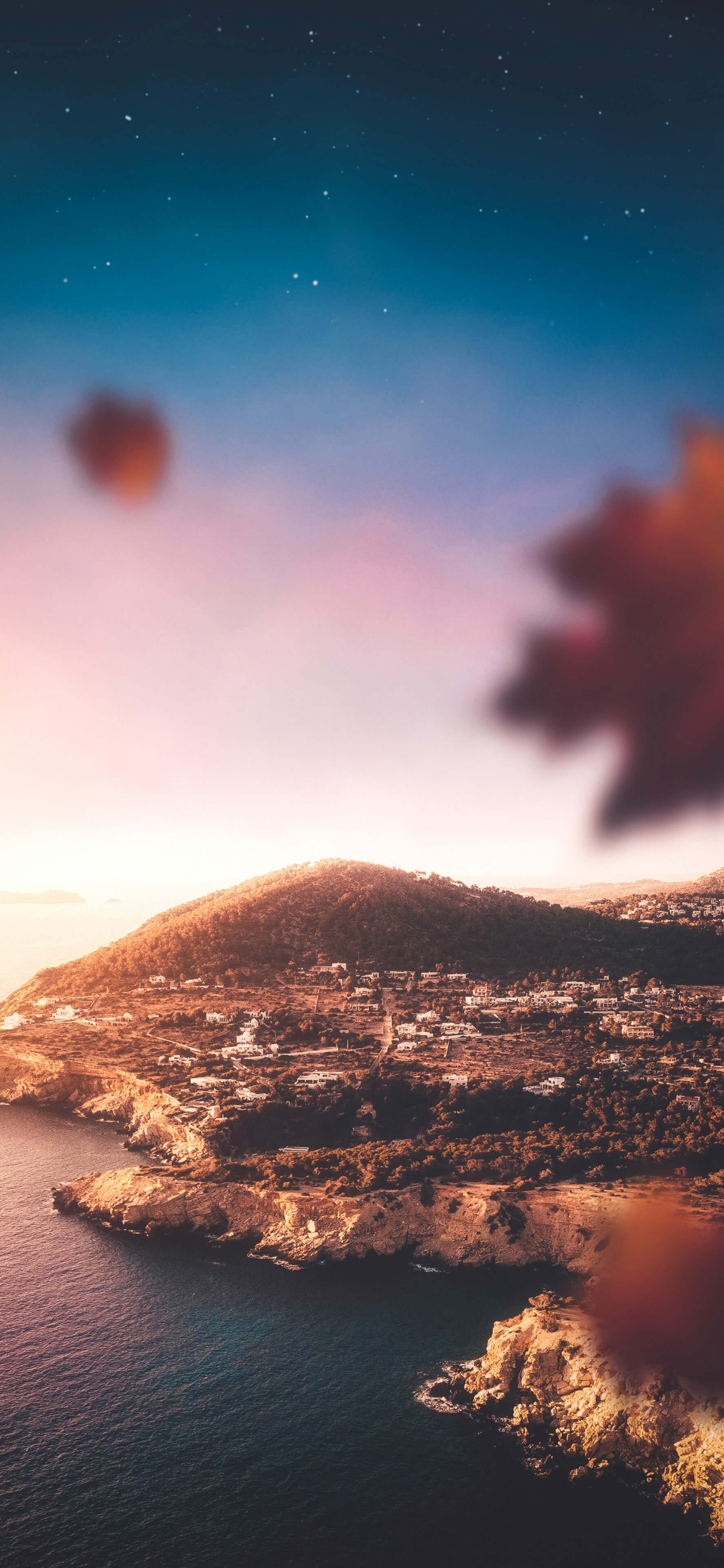 Обои Ибица, Пальма, Форментера, круизное судно, облако в разрешении 1242x2688