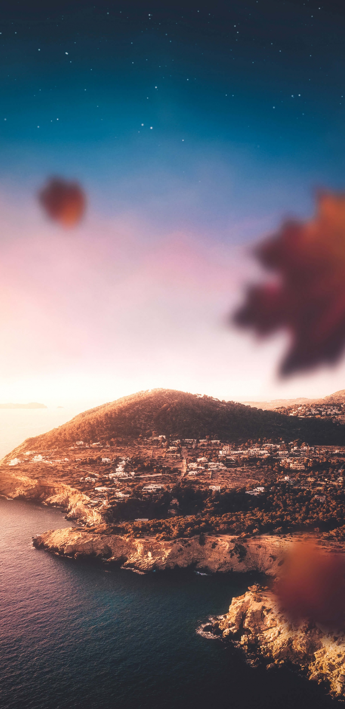 Обои Ибица, Пальма, Форментера, круизное судно, облако в разрешении 1440x2960