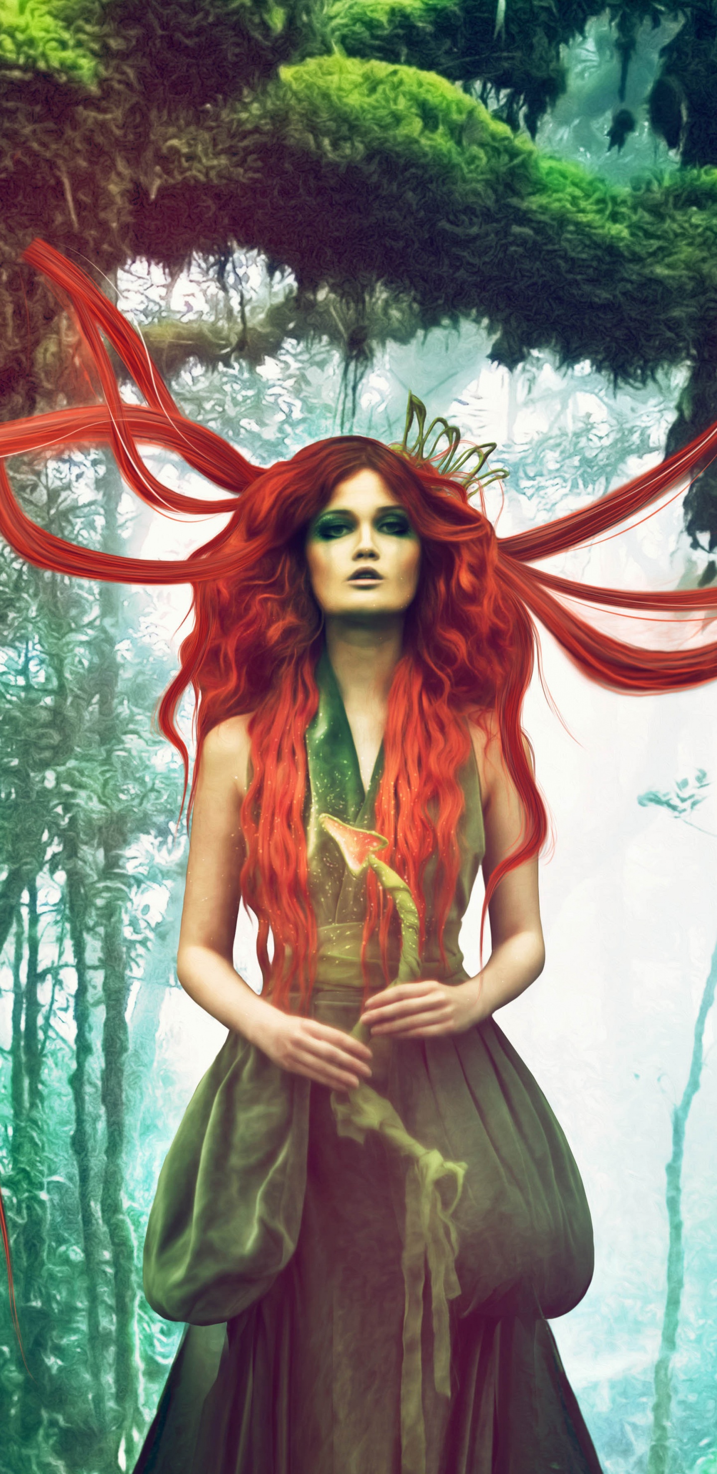 Обои мифология, лес, дерево, старовозрастные леса, растение в разрешении 1440x2960