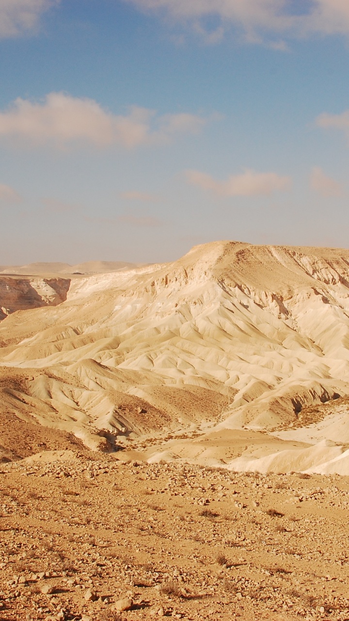 Обои песок, Вади, пустыня, геология, эолийские рельефы в разрешении 720x1280