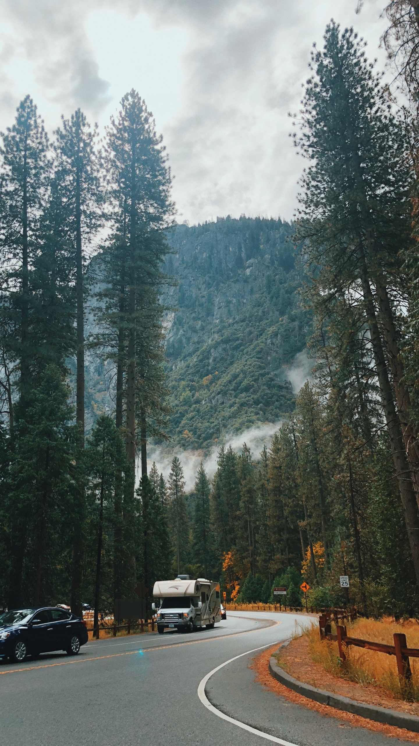 Обои Калифорния, США, йосемити, природа, Хвойные в разрешении 1440x2560